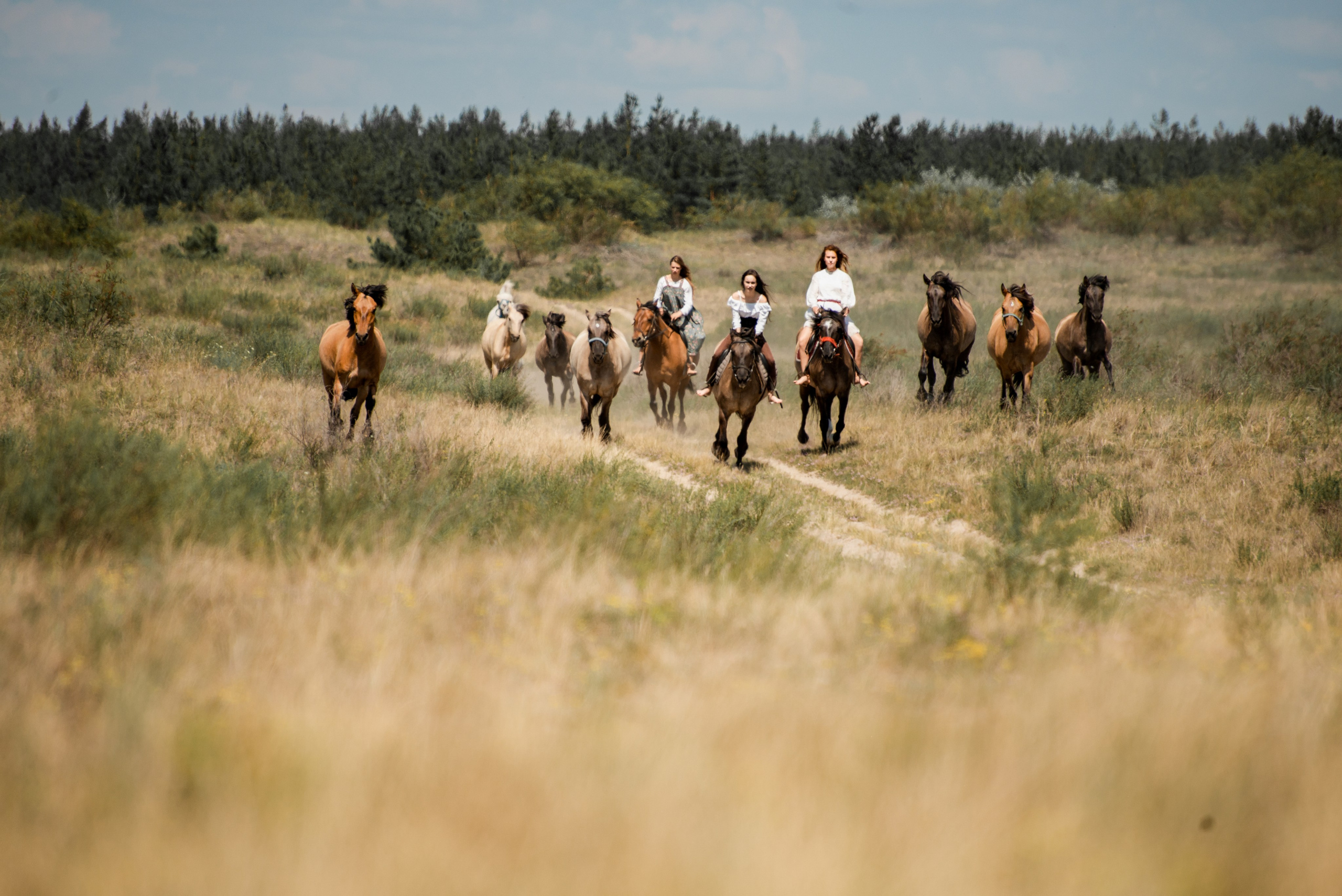 Купала в Родославном. Конный фотограф в Саратове Юлия Иванова