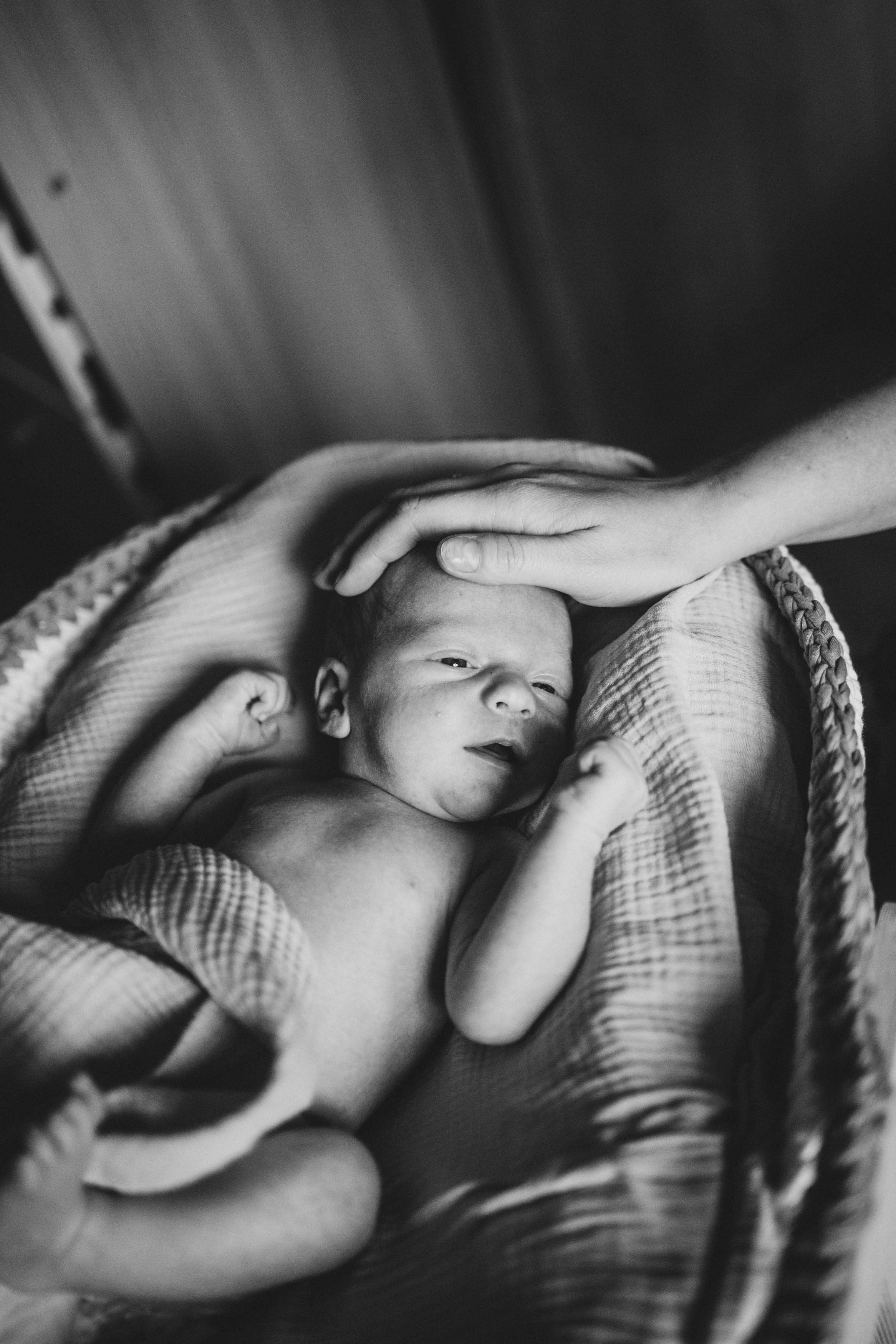 фотосессия новорожденного, фотосессия новорожденных, ньюборн, пушкин, павловск, спб, семейная фотосессия