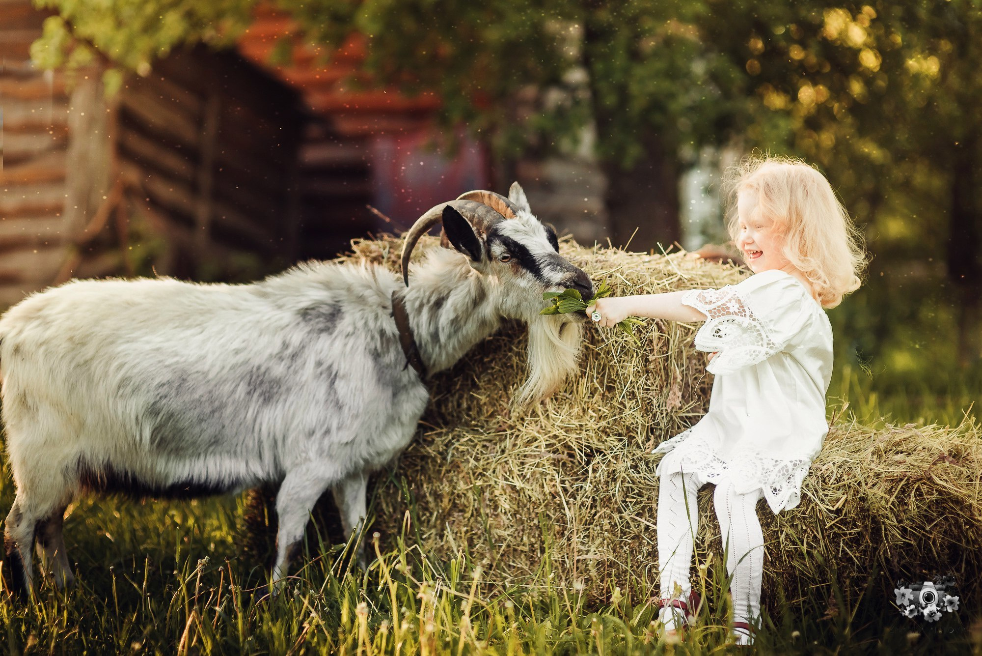 Тематические фотосессии в Туле. Портретный, семейный, свадебный фотограф. Бизнес, контент съёмка. Тула