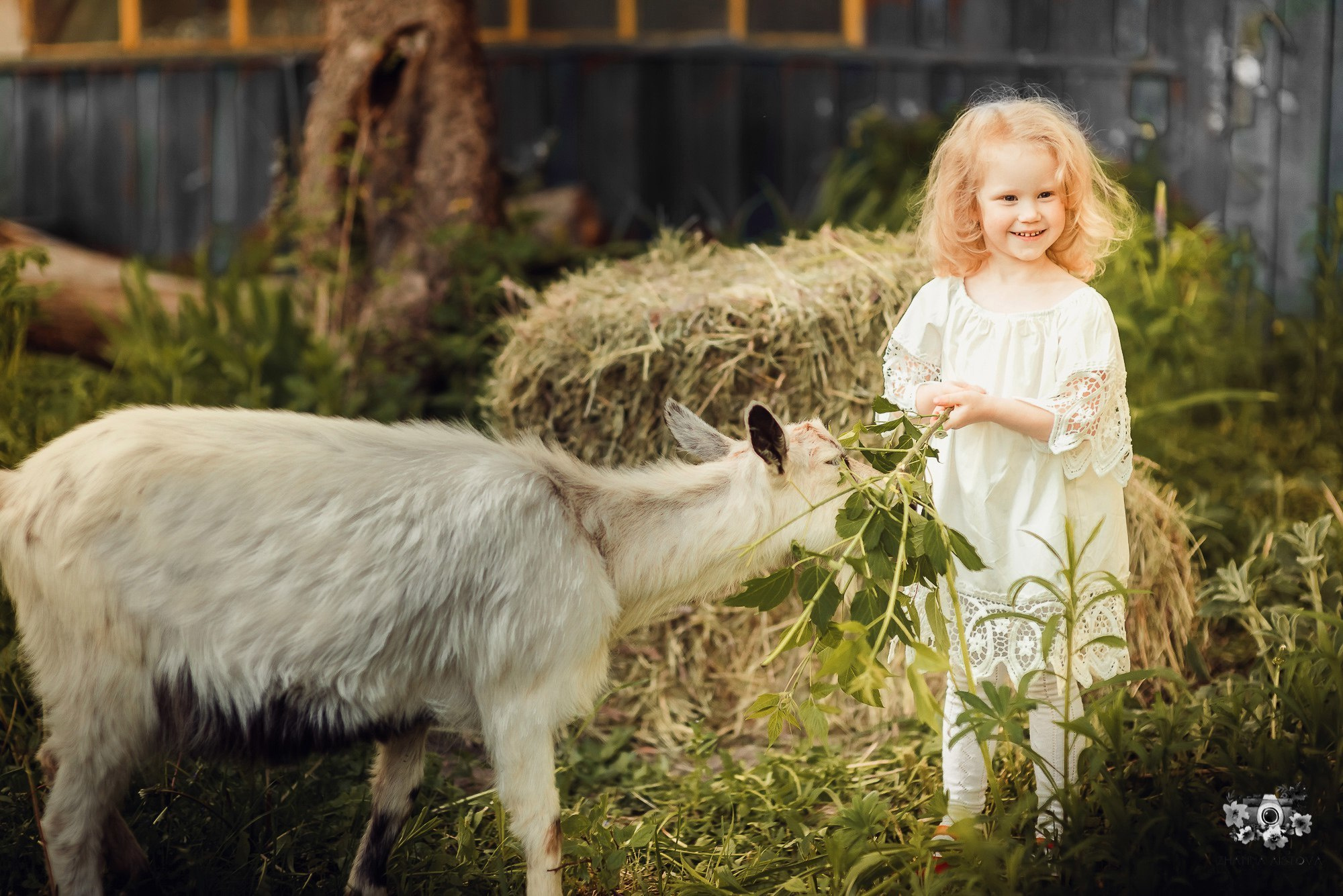 Тематические фотосессии в Туле. Портретный, семейный, свадебный фотограф. Бизнес, контент съёмка. Тула