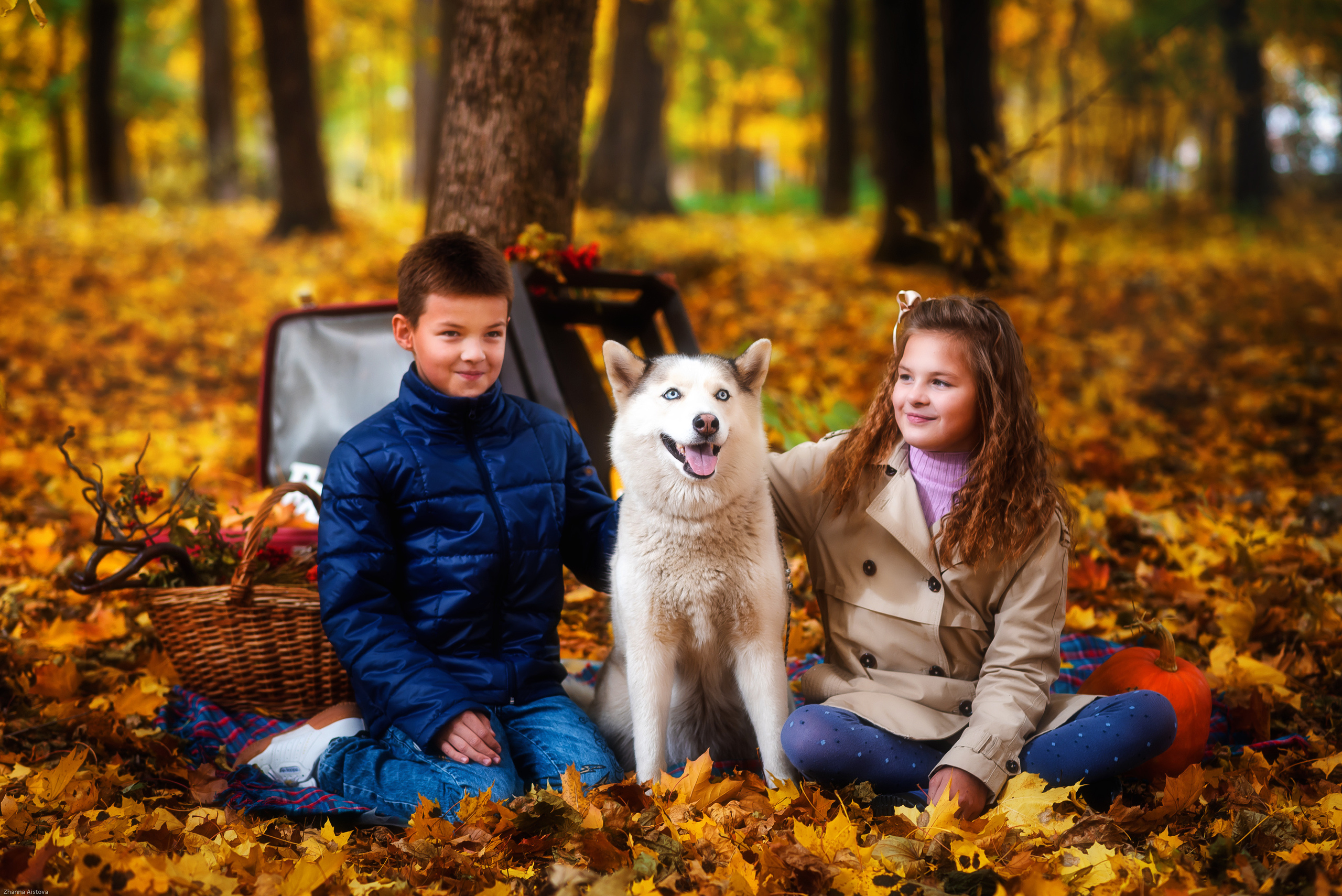 Осенние фотосессии в Туле. Портретный, семейный, свадебный фотограф. Бизнес, контент съёмка. Тула
