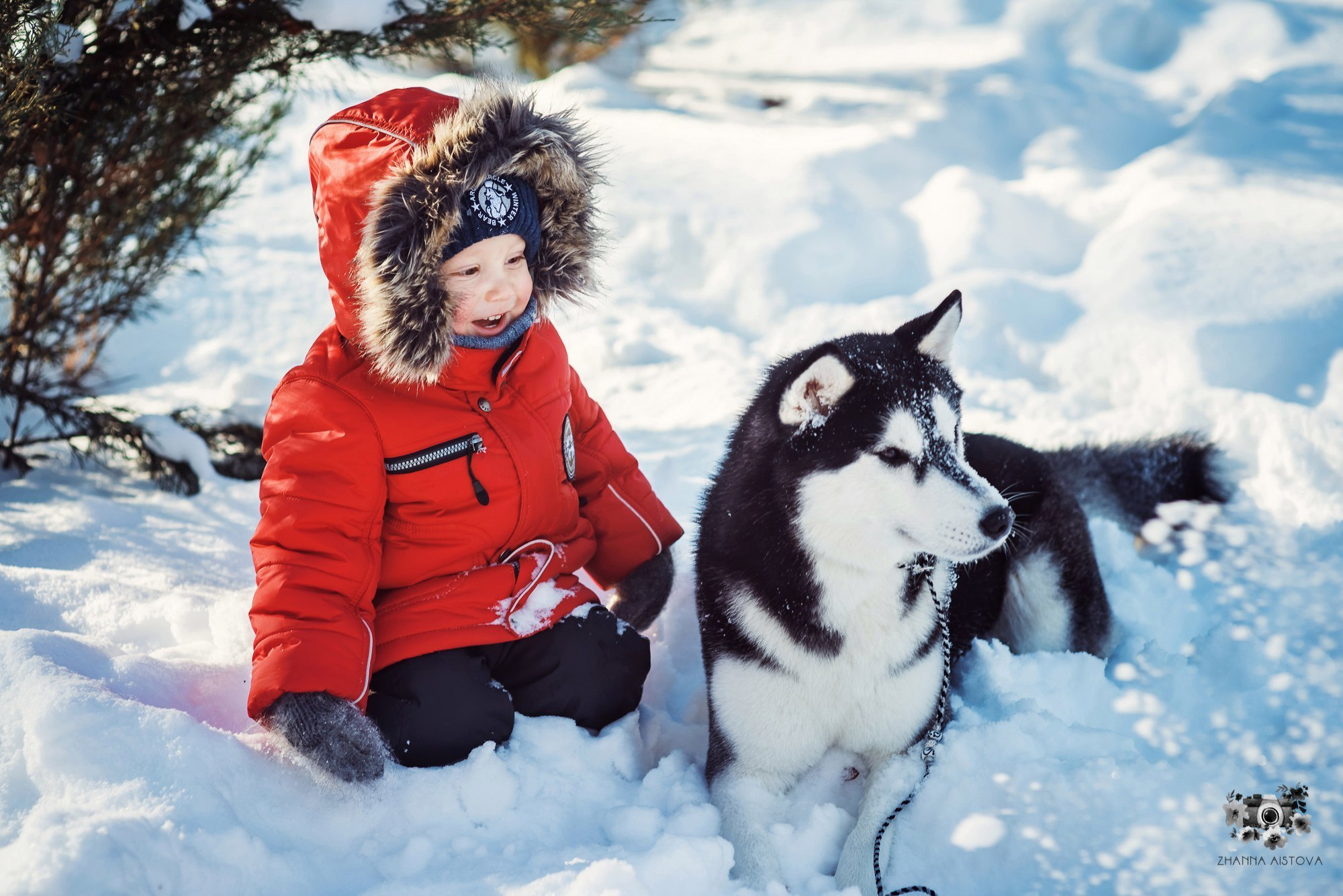 Тематические фотосессии в Туле. Портретный, семейный, свадебный фотограф. Бизнес, контент съёмка. Тула