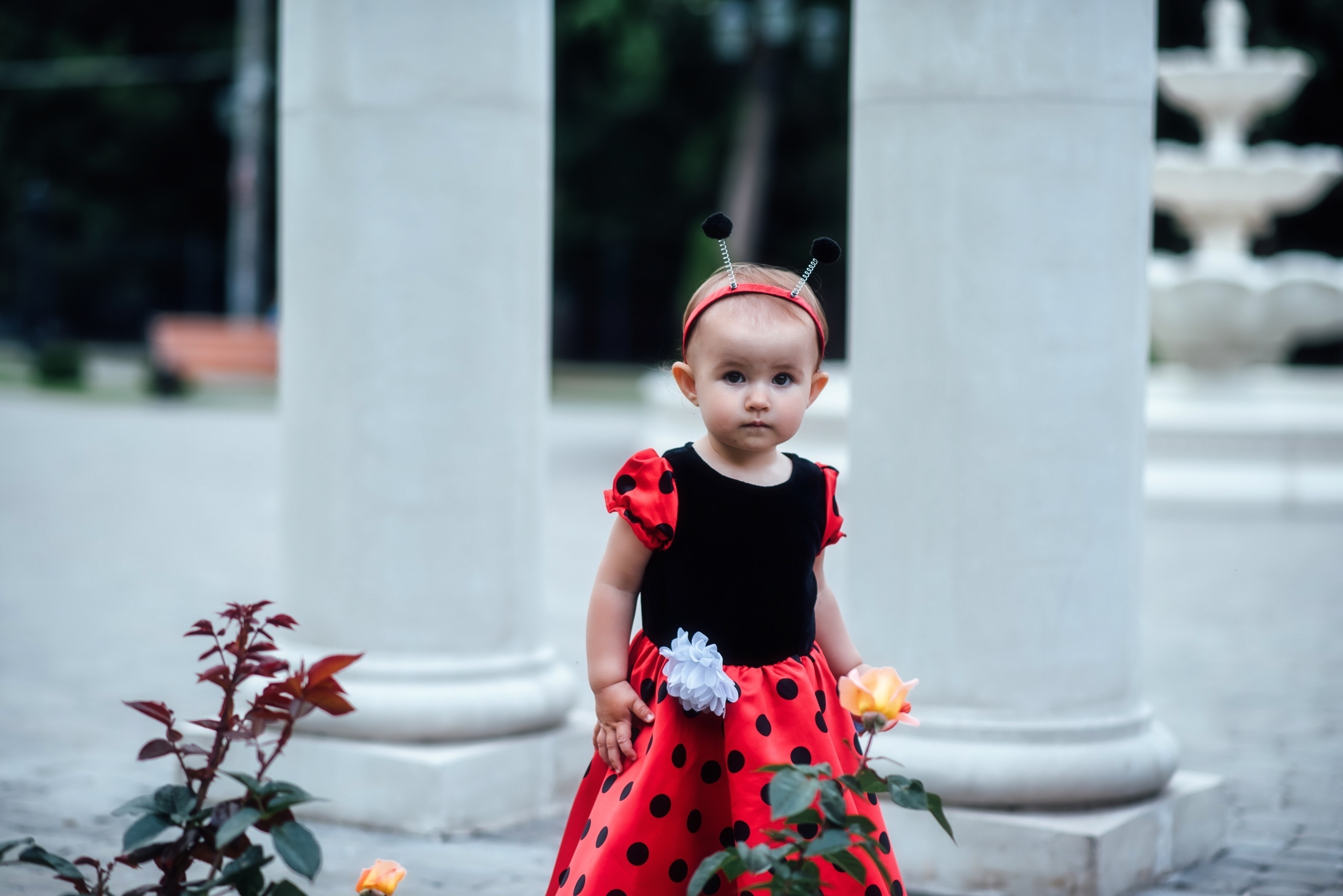 Тематические фотосессии в Туле. Портретный, семейный, свадебный фотограф. Бизнес, контент съёмка. Тула