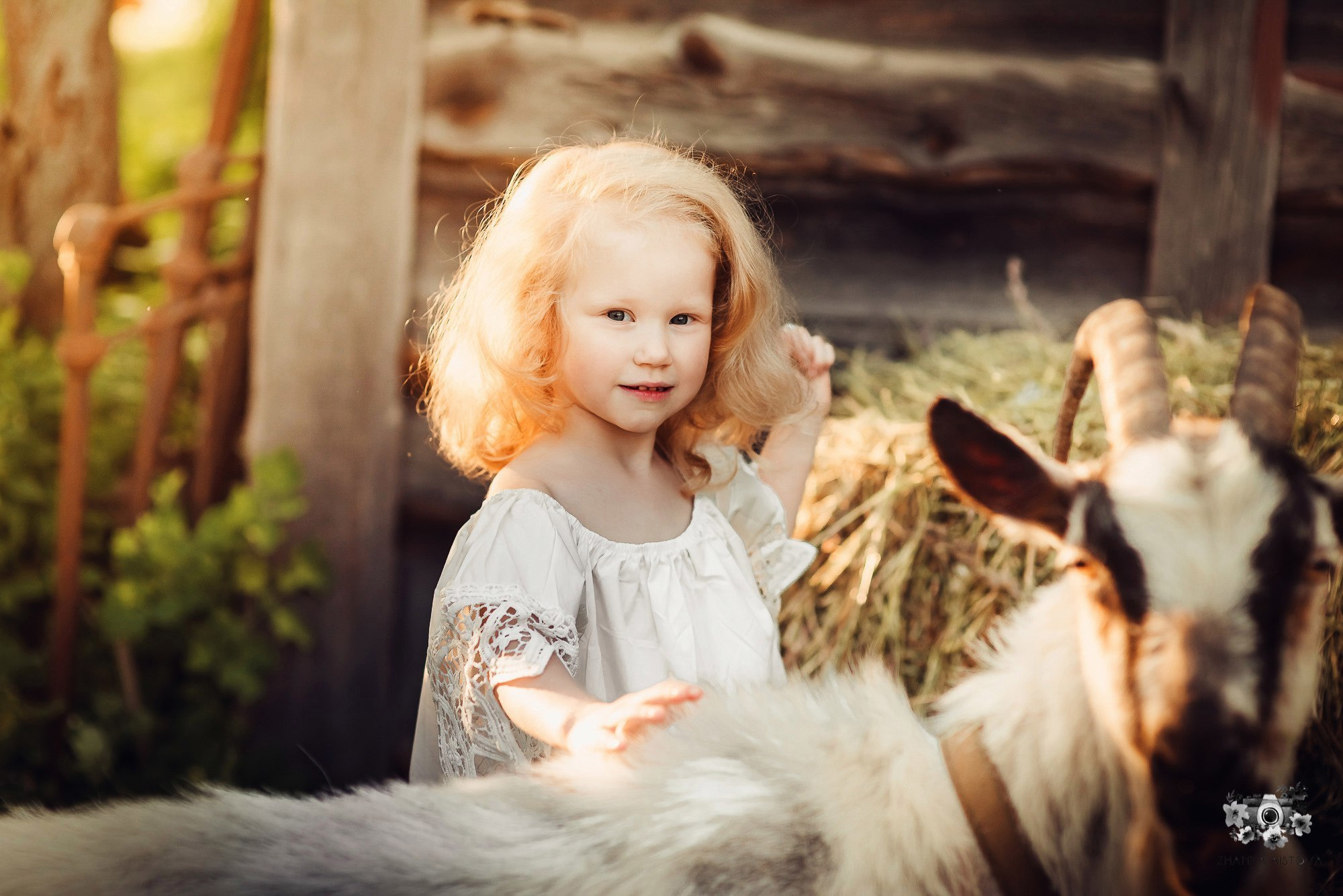Тематические фотосессии в Туле. Портретный, семейный, свадебный фотограф. Бизнес, контент съёмка. Тула