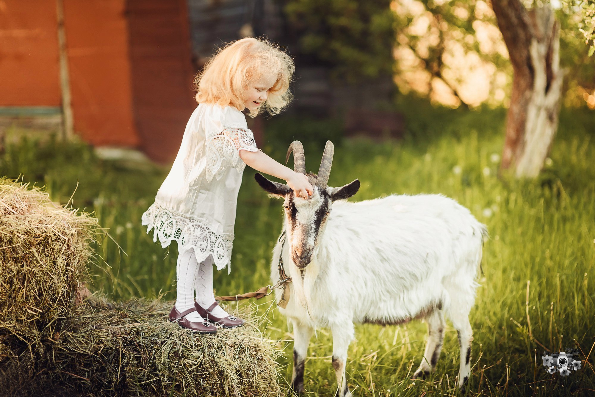 Тематические фотосессии в Туле. Портретный, семейный, свадебный фотограф. Бизнес, контент съёмка. Тула