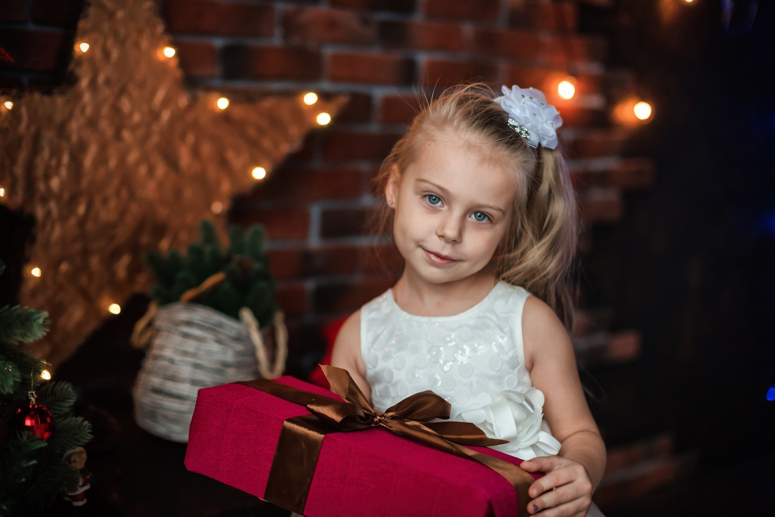 Новогодние фотосессии в Туле. Портретный, семейный, свадебный фотограф. Бизнес, контент съёмка. Тула