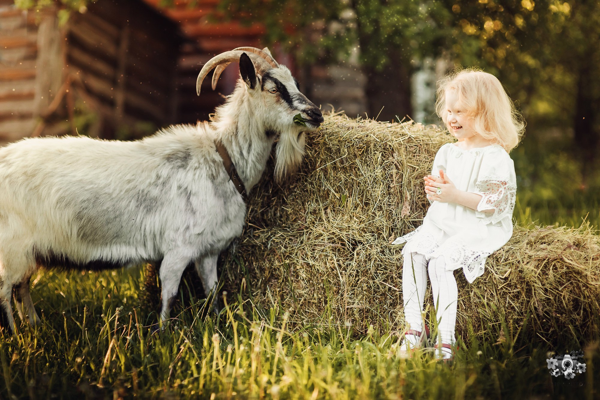 Тематические фотосессии в Туле. Портретный, семейный, свадебный фотограф. Бизнес, контент съёмка. Тула