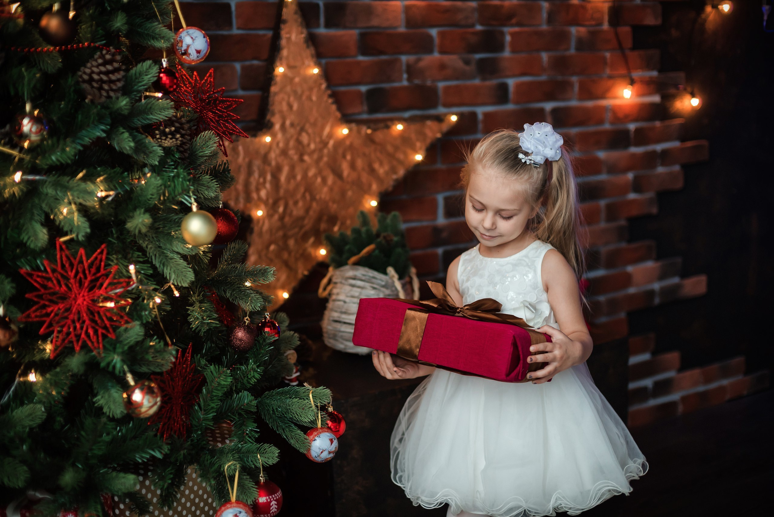 Новогодние фотосессии в Туле. Портретный, семейный, свадебный фотограф. Бизнес, контент съёмка. Тула