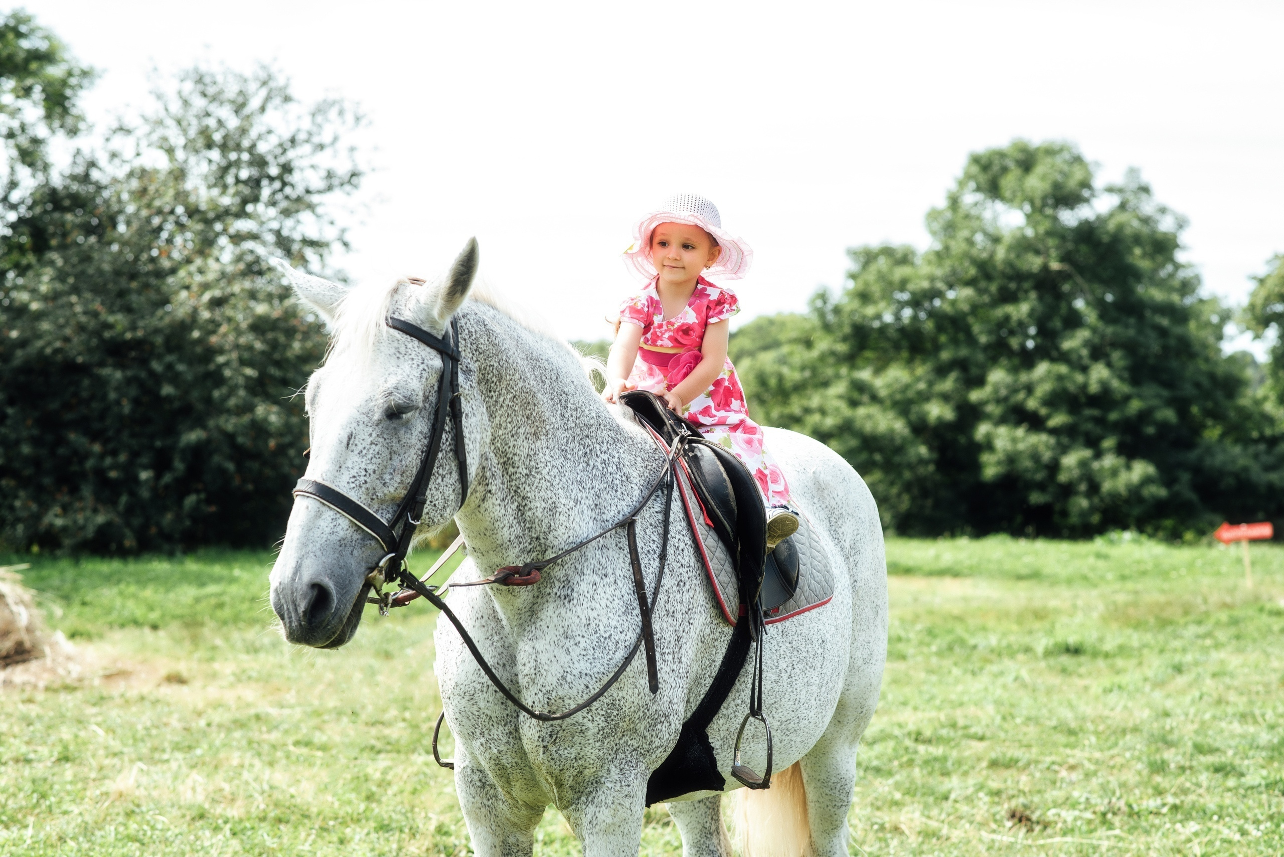 Дни рождения в Туле. Портретный, семейный, свадебный фотограф. Бизнес, контент съёмка. Тула