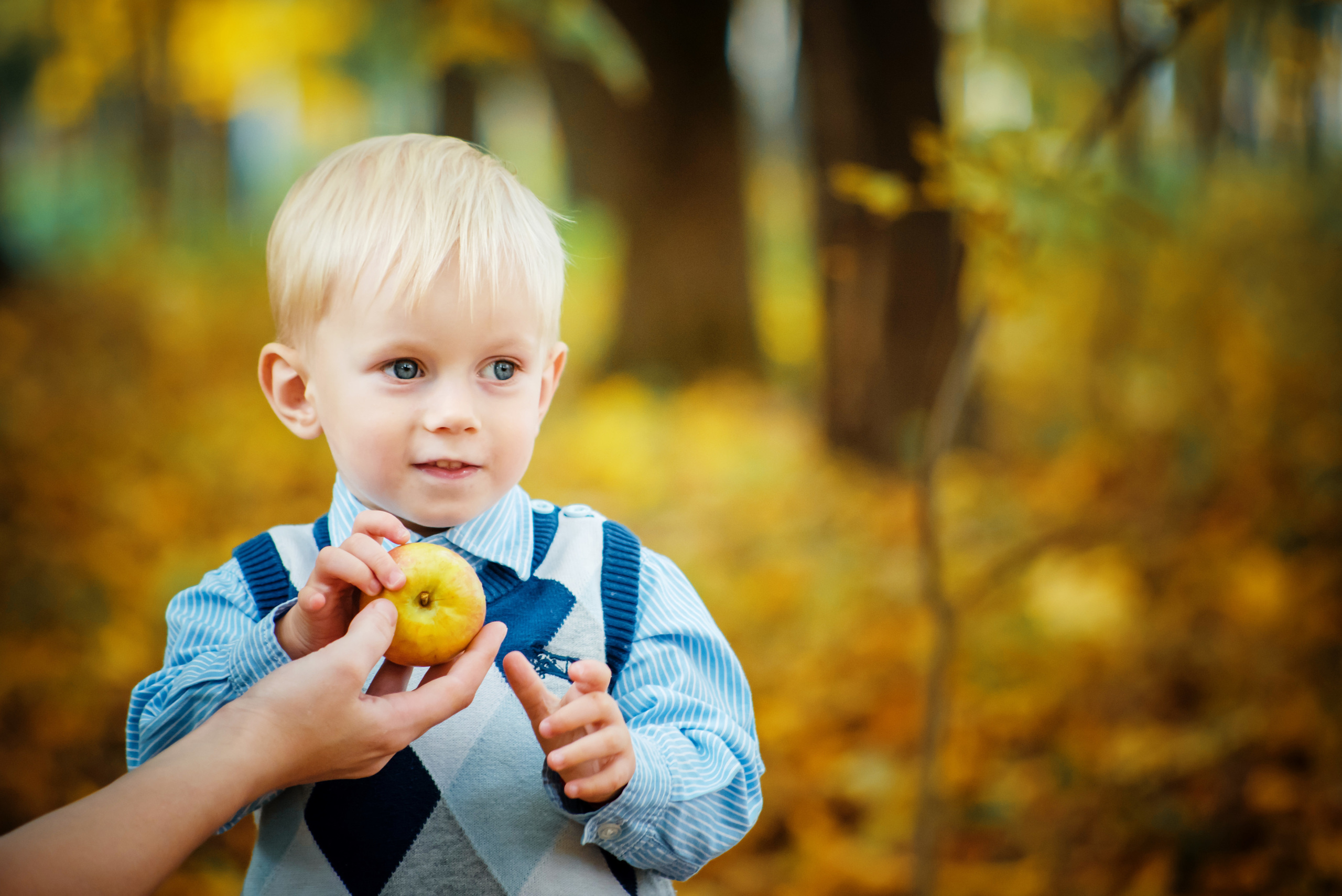 Осенние фотосессии в Туле. Портретный, семейный, свадебный фотограф. Бизнес, контент съёмка. Тула