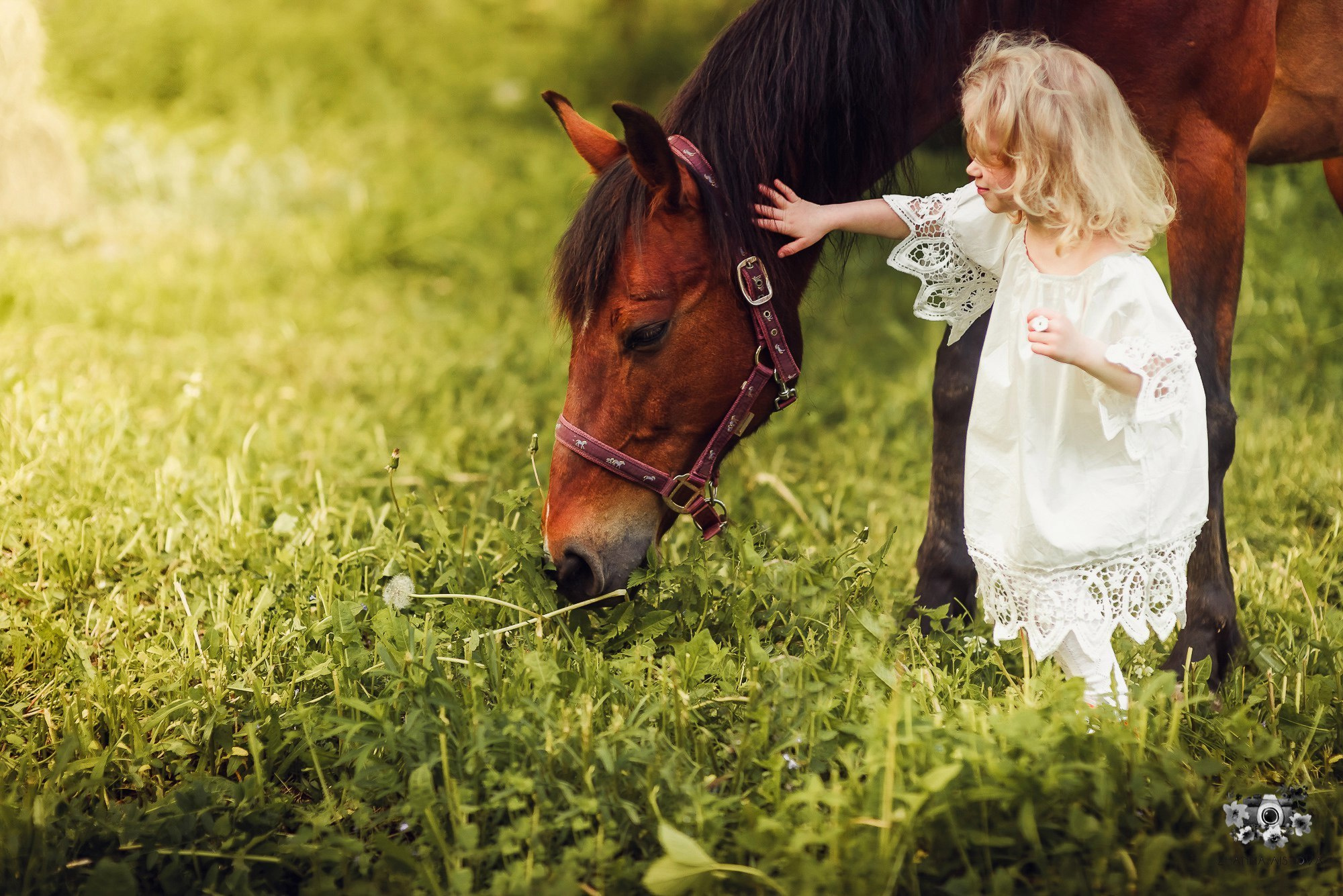 Тематические фотосессии в Туле. Портретный, семейный, свадебный фотограф. Бизнес, контент съёмка. Тула