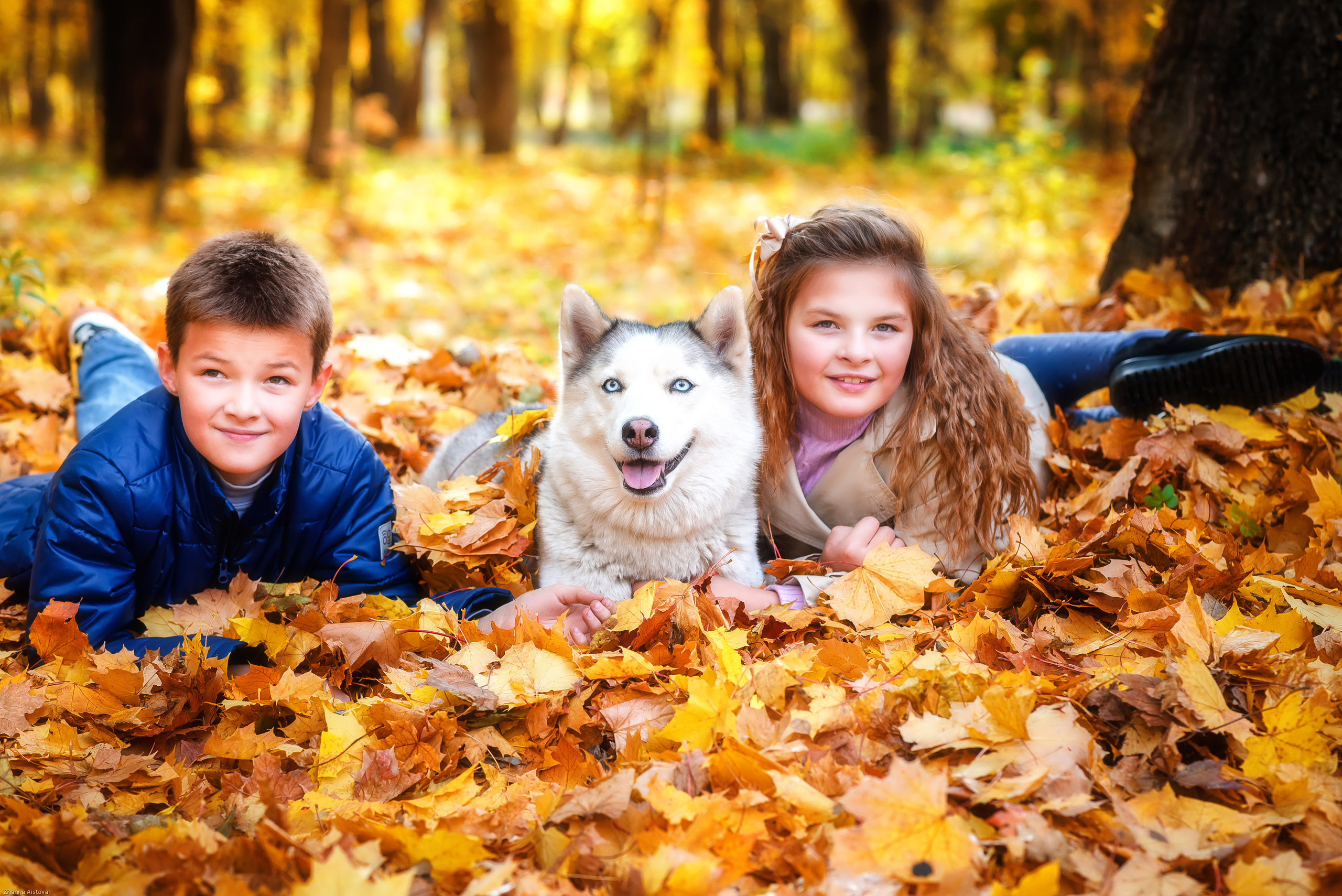 Осенние фотосессии в Туле. Портретный, семейный, свадебный фотограф. Бизнес, контент съёмка. Тула