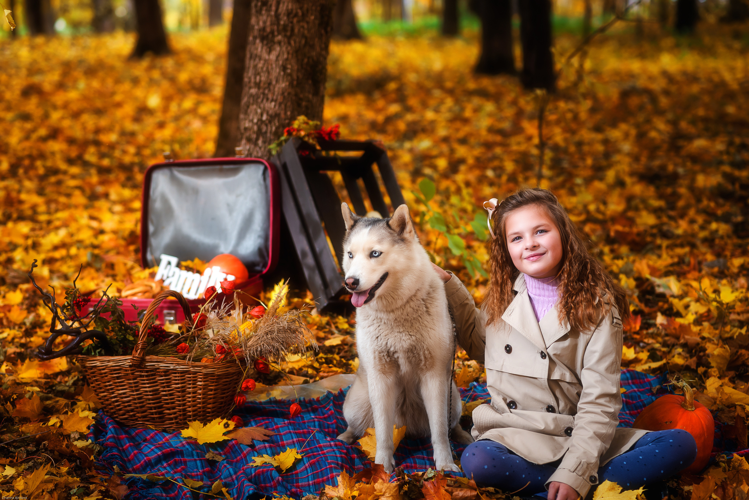 Осенние фотосессии в Туле. Портретный, семейный, свадебный фотограф. Бизнес, контент съёмка. Тула