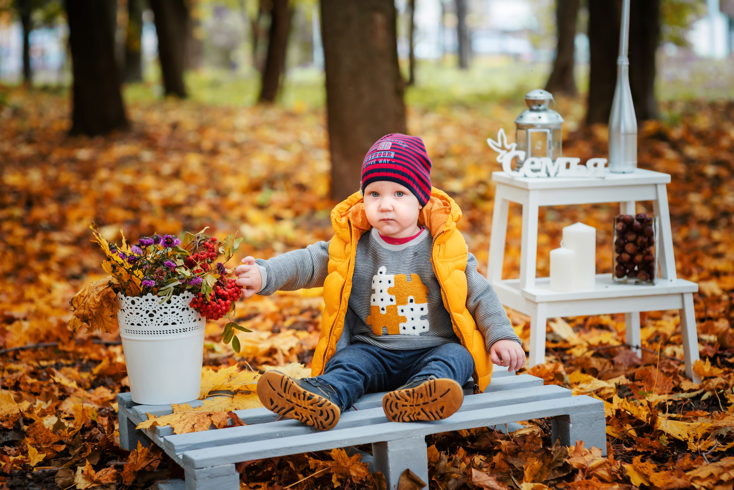 Осенние фотосессии в Туле. Портретный, семейный, свадебный фотограф. Бизнес, контент съёмка. Тула