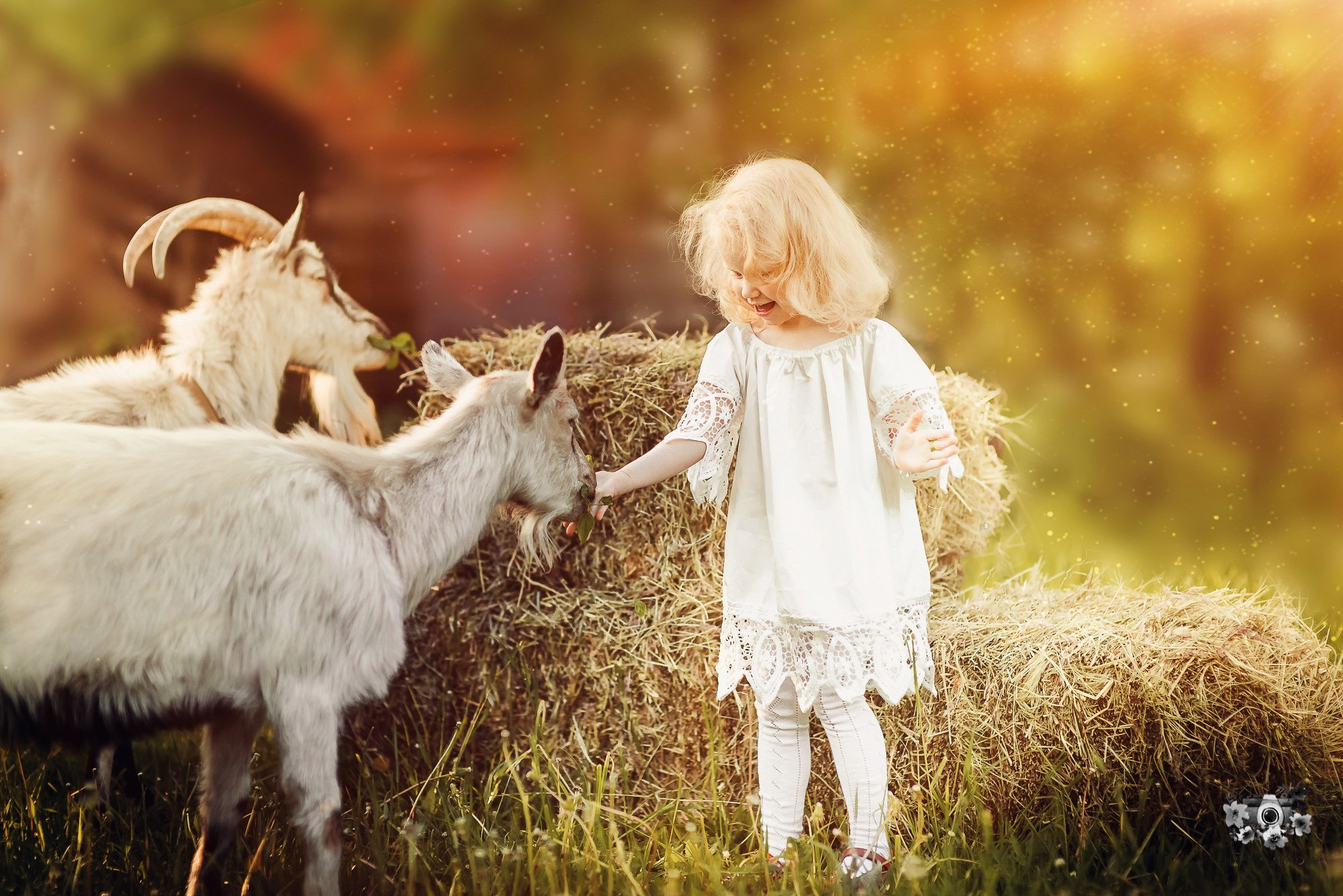 Тематические фотосессии в Туле. Портретный, семейный, свадебный фотограф. Бизнес, контент съёмка. Тула