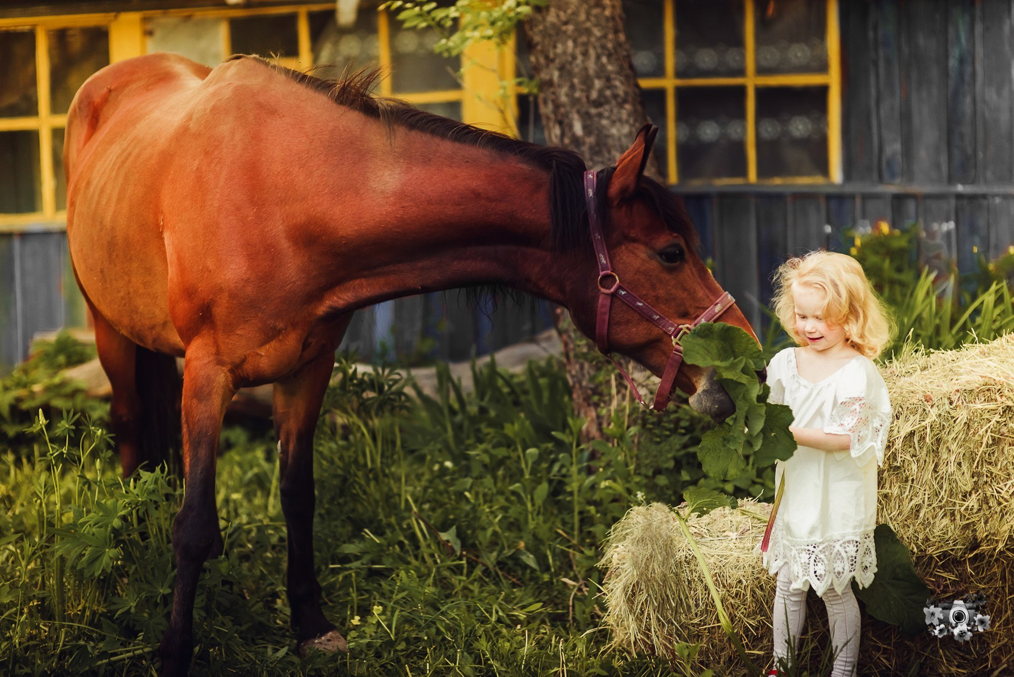 Тематические фотосессии в Туле. Портретный, семейный, свадебный фотограф. Бизнес, контент съёмка. Тула