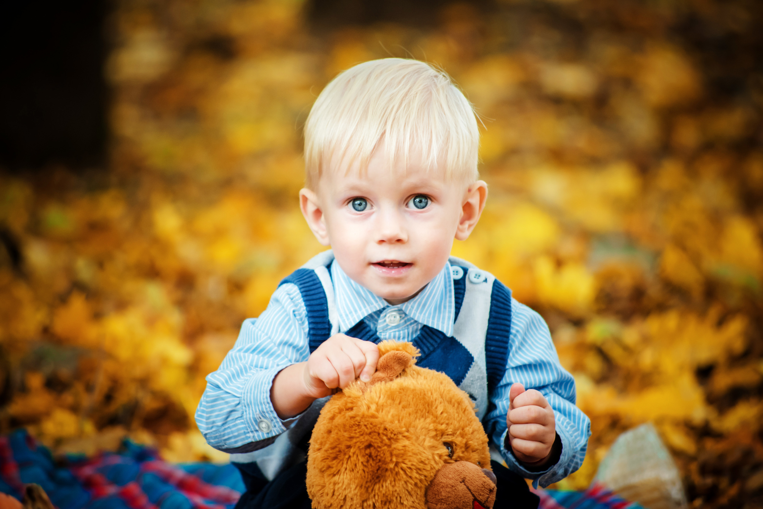 Осенние фотосессии в Туле. Портретный, семейный, свадебный фотограф. Бизнес, контент съёмка. Тула