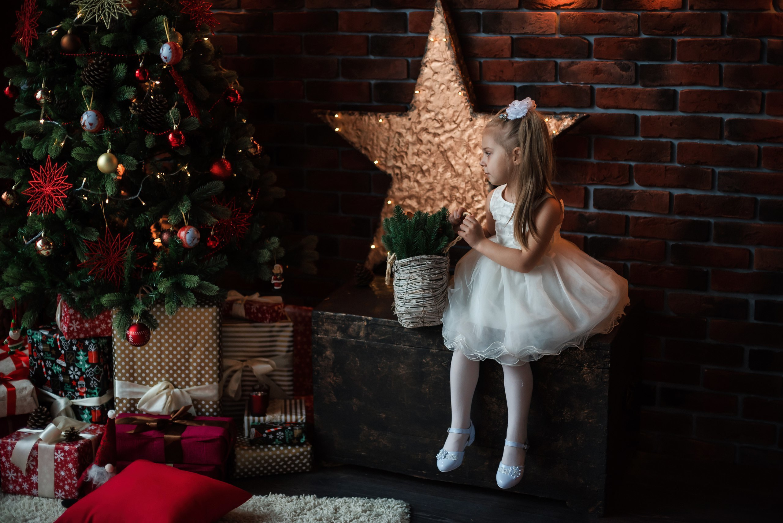 Новогодние фотосессии в Туле. Портретный, семейный, свадебный фотограф. Бизнес, контент съёмка. Тула