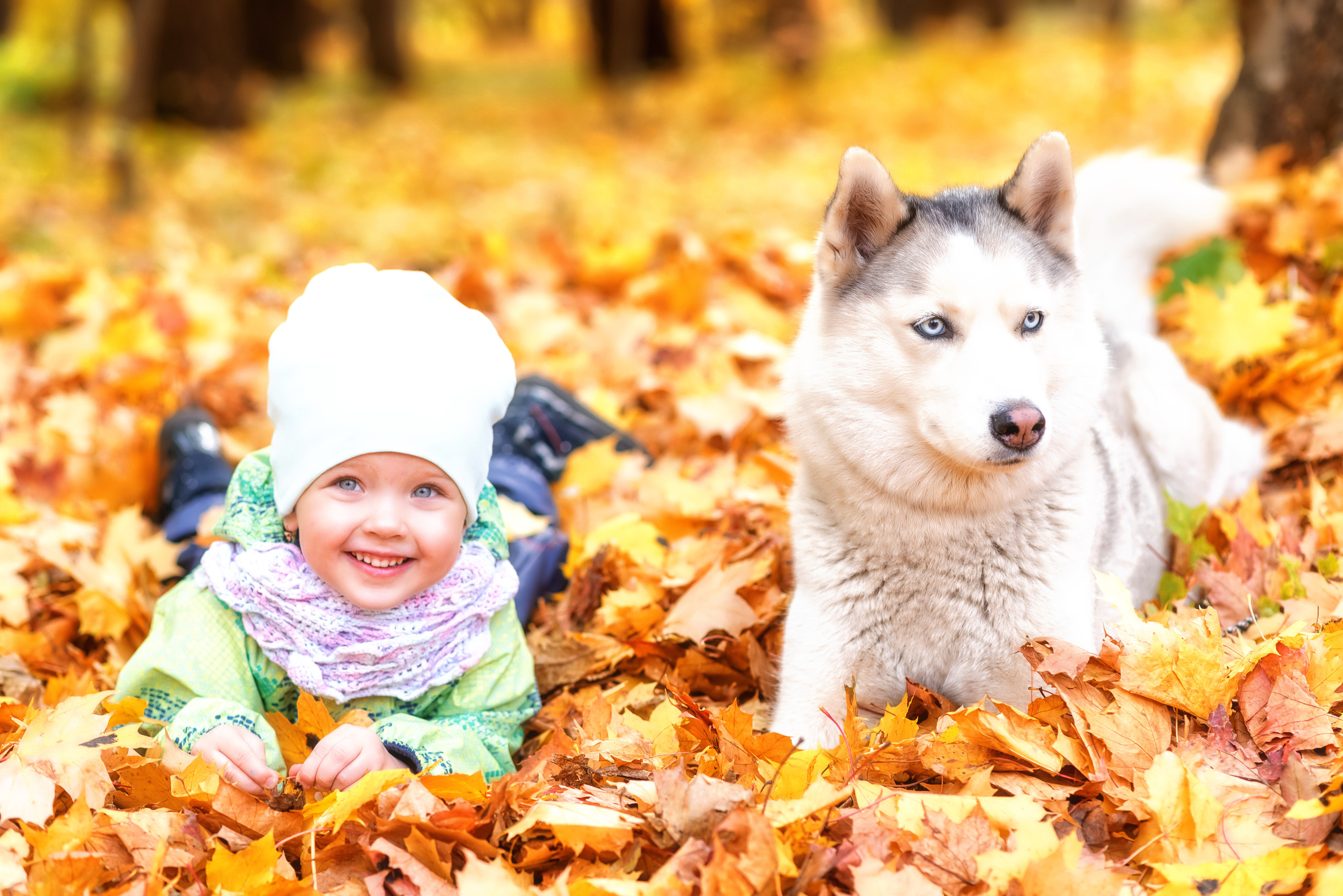 Осенние фотосессии в Туле. Портретный, семейный, свадебный фотограф. Бизнес, контент съёмка. Тула