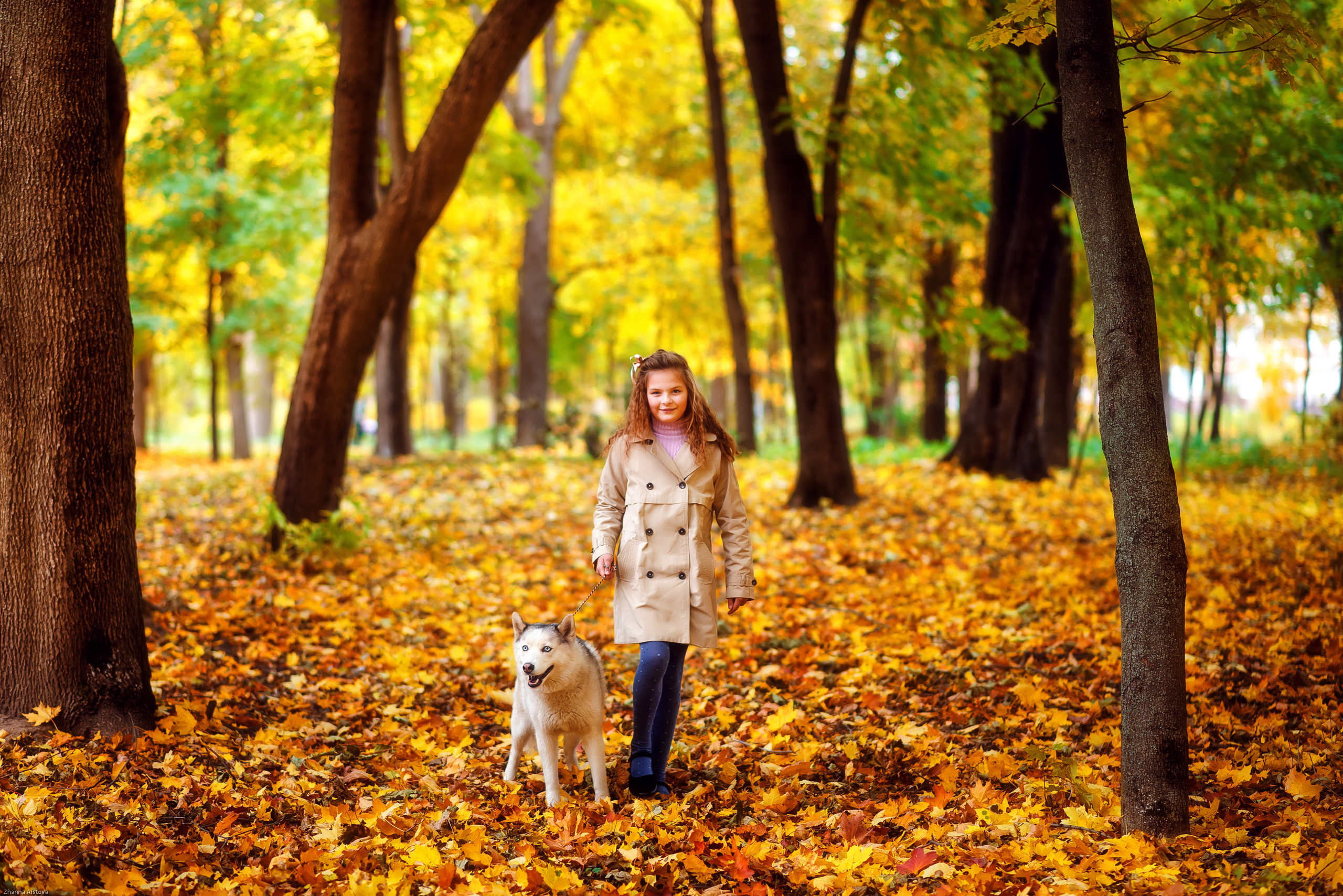 Осенние фотосессии в Туле. Портретный, семейный, свадебный фотограф. Бизнес, контент съёмка. Тула