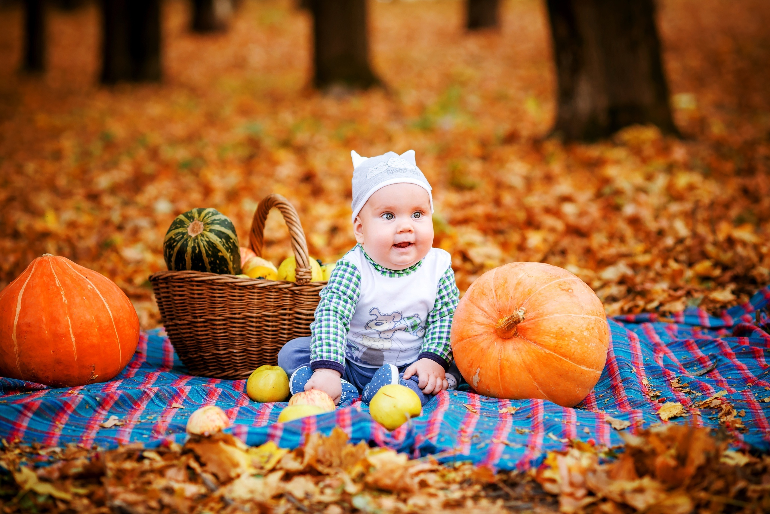 Осенние фотосессии в Туле. Портретный, семейный, свадебный фотограф. Бизнес, контент съёмка. Тула