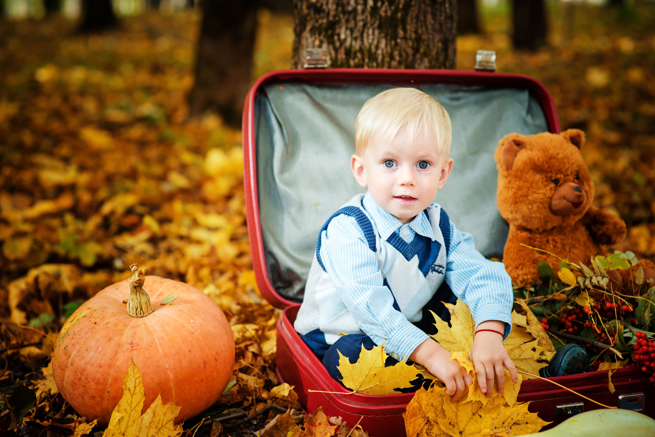 Осенние фотосессии в Туле. Портретный, семейный, свадебный фотограф. Бизнес, контент съёмка. Тула