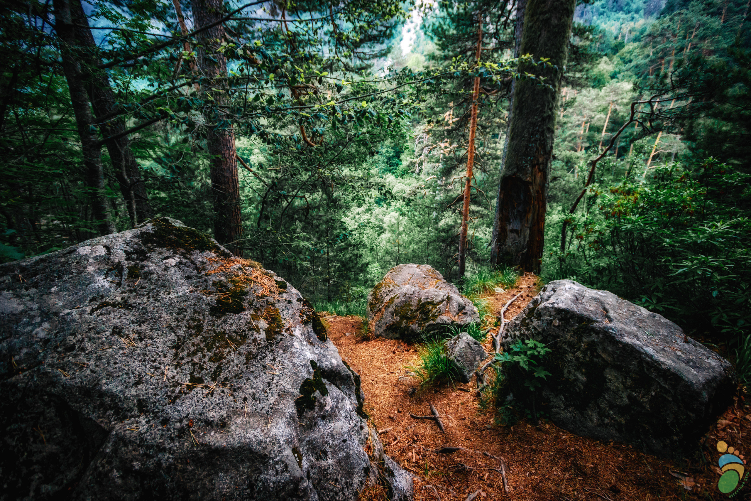 Северная и Южная Осетии. Марк Шишкин — репортажный фотограф в Воронеже и России