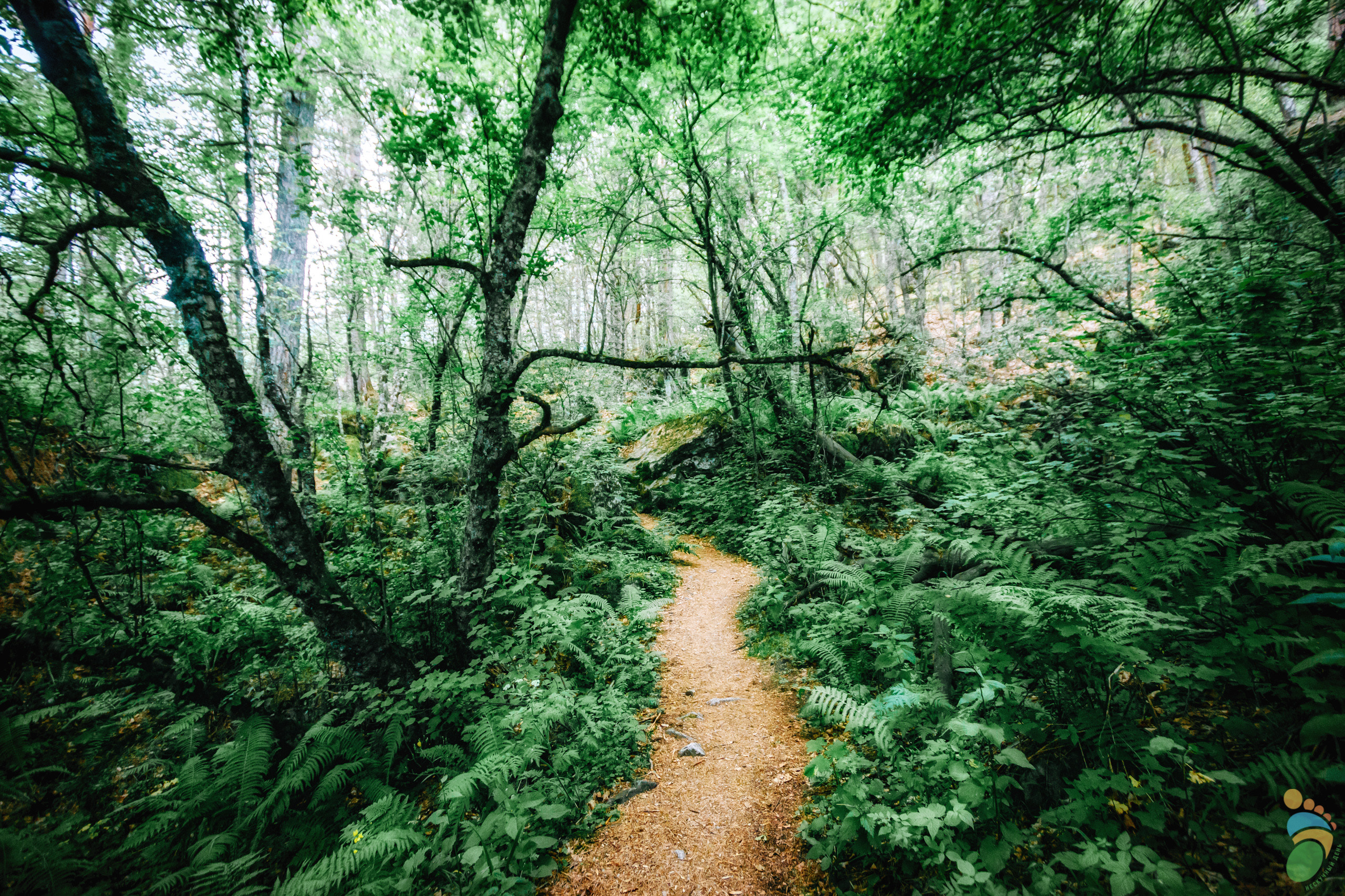 Северная и Южная Осетии. Марк Шишкин — репортажный фотограф в Воронеже и России
