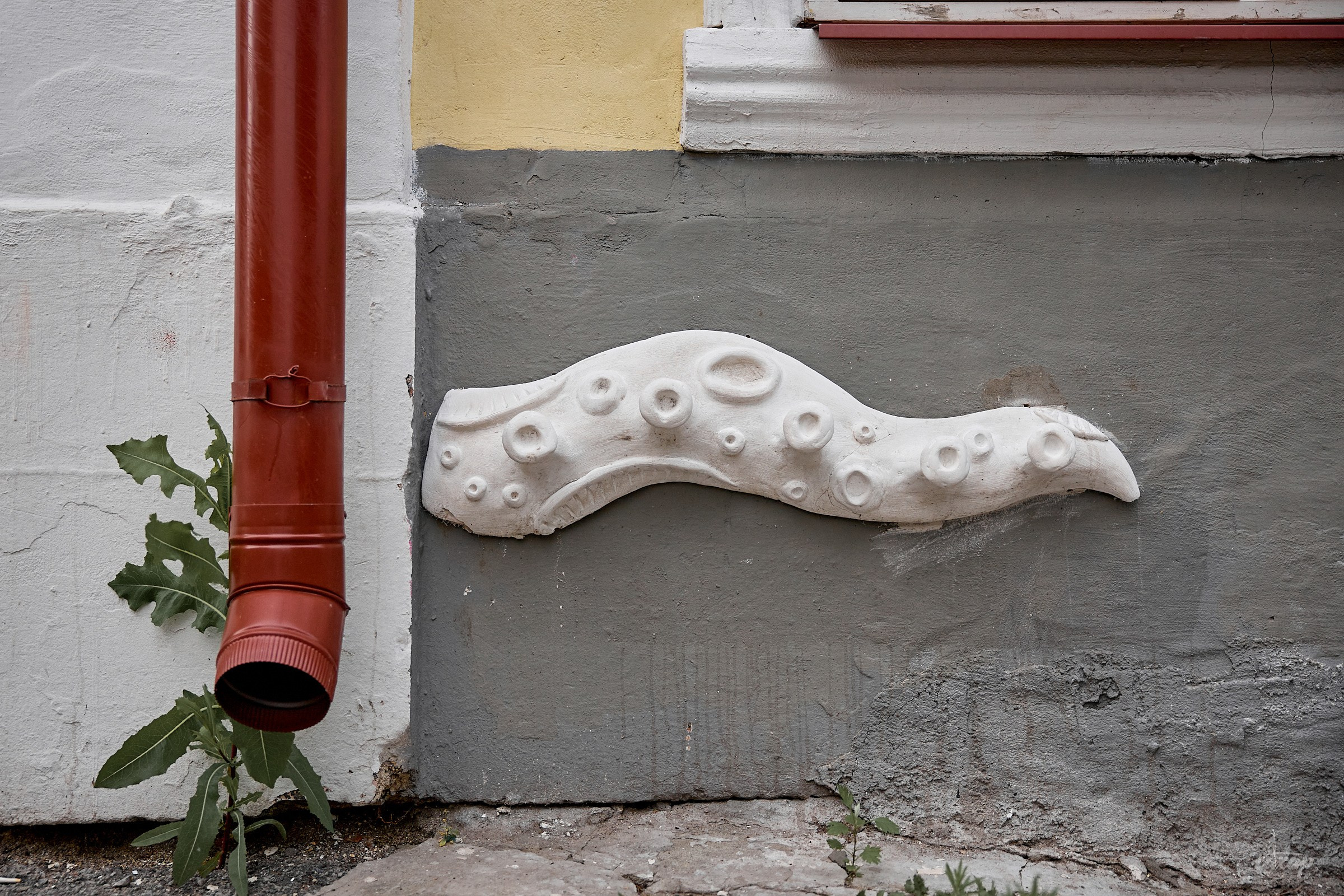 Не чай с Сахаром, а фото прогулка! 26.06.2024. Профессиональный фотограф в Екатеринбурге Юра Сахар