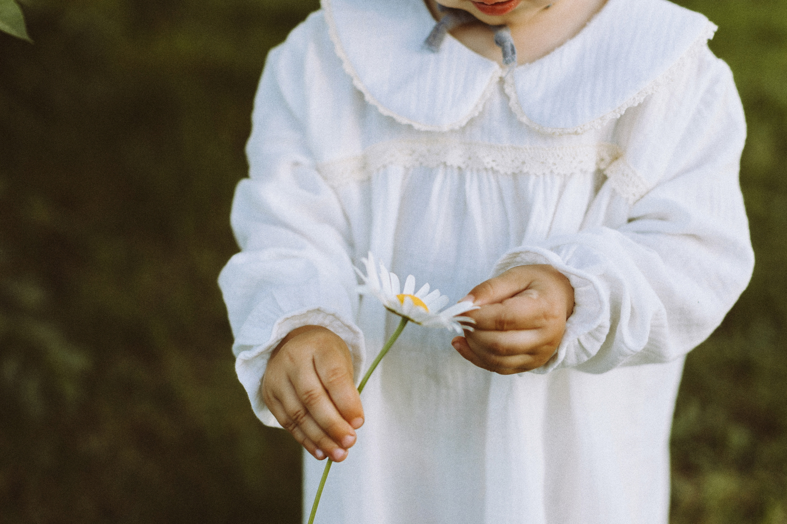 Семья. Свадебный фотограф Самара
