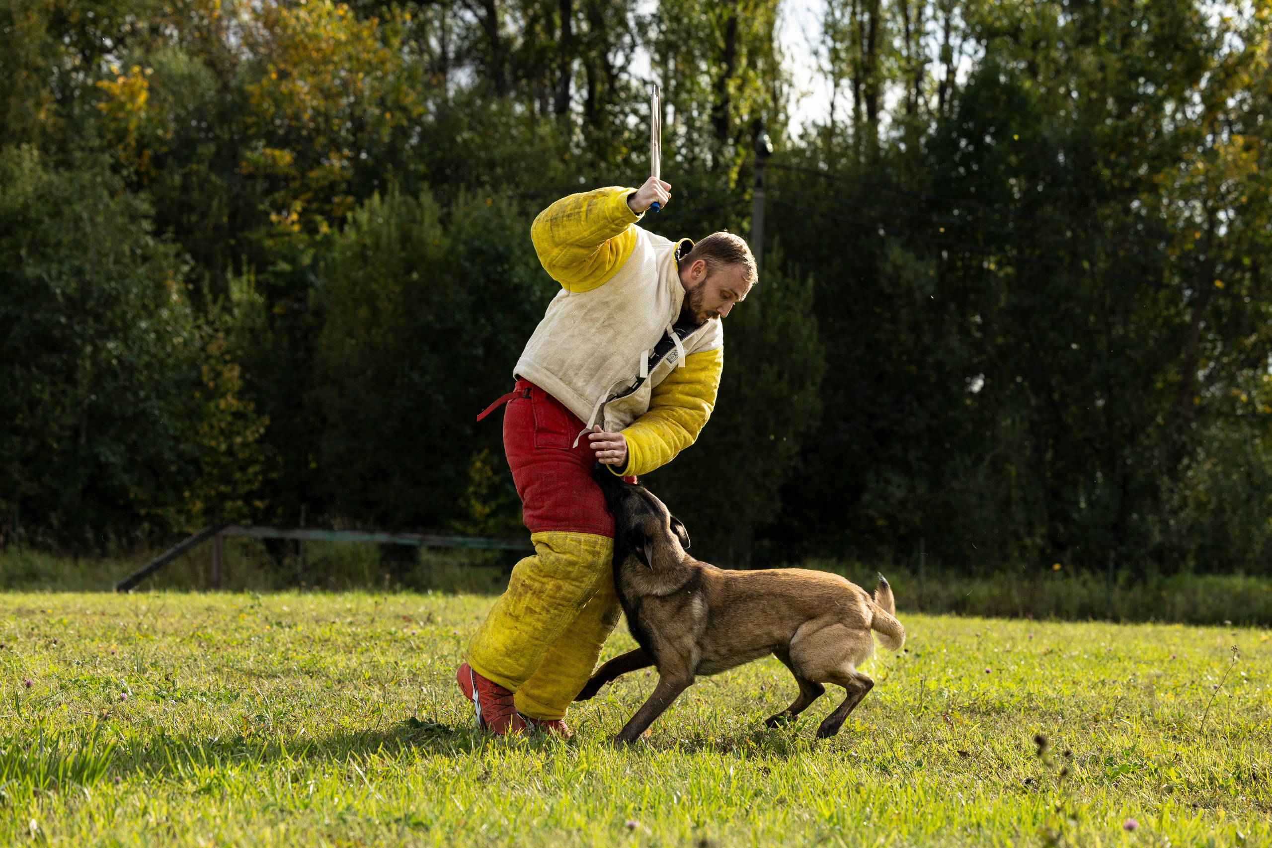 Испытания по Мондьорингу г. Пушкин. Фотограф-анималист Анна Маринич