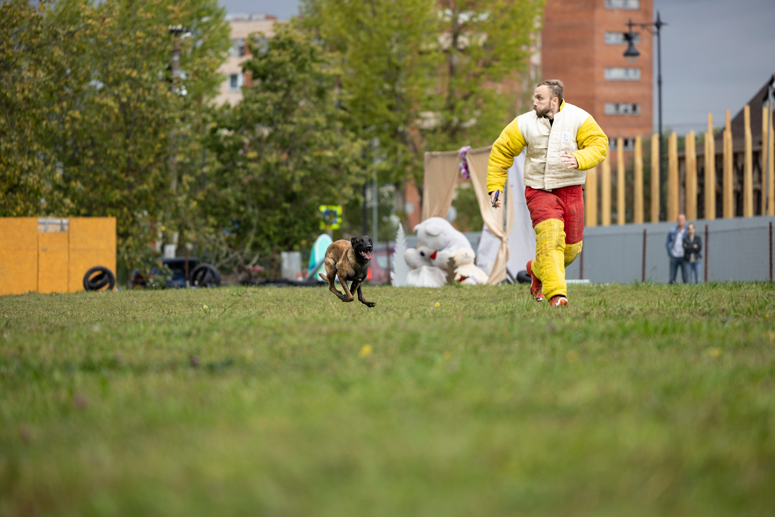 Испытания по Мондьорингу г. Пушкин. Фотограф-анималист Анна Маринич