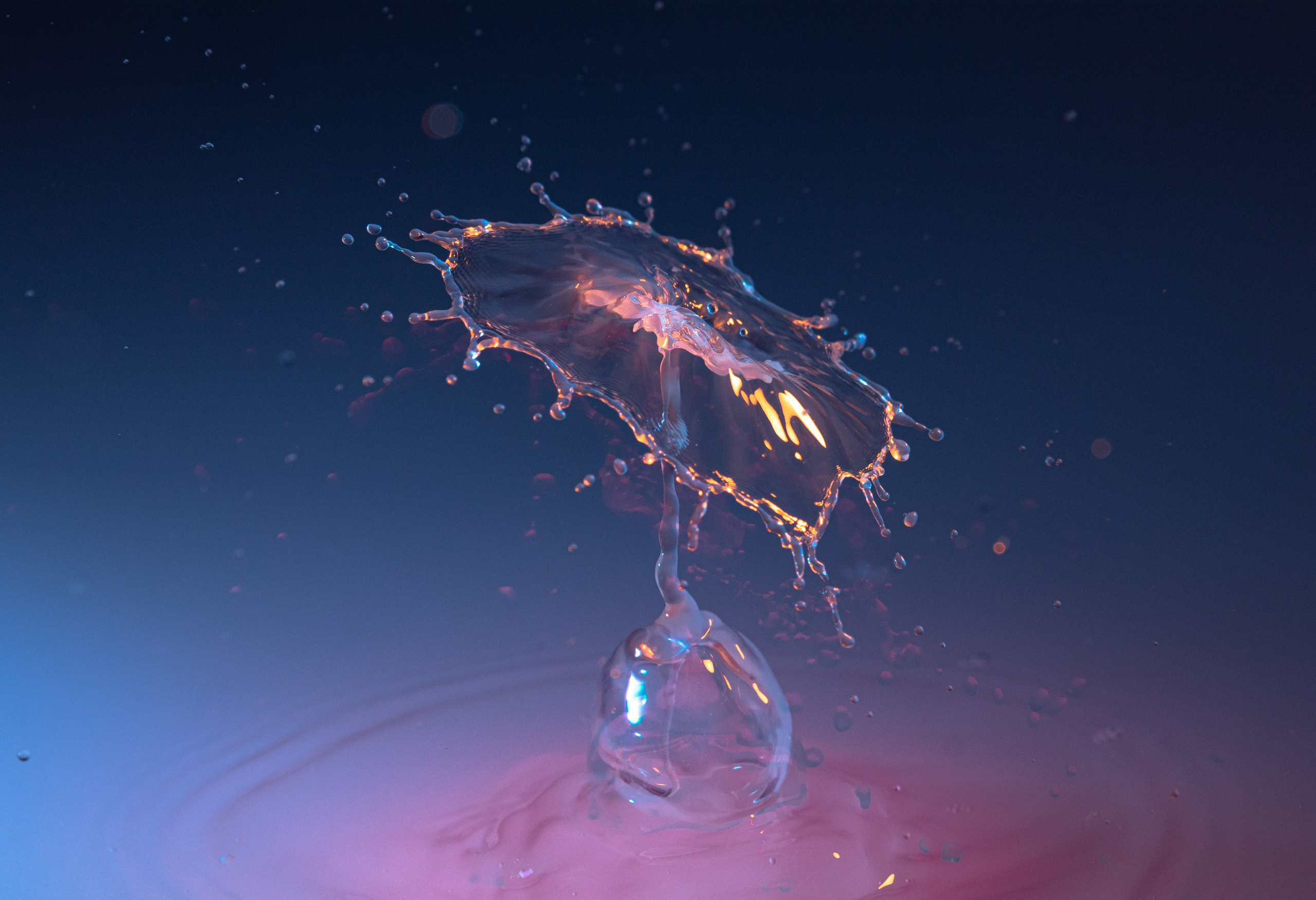 На досуге. Фотограф в Вязьме