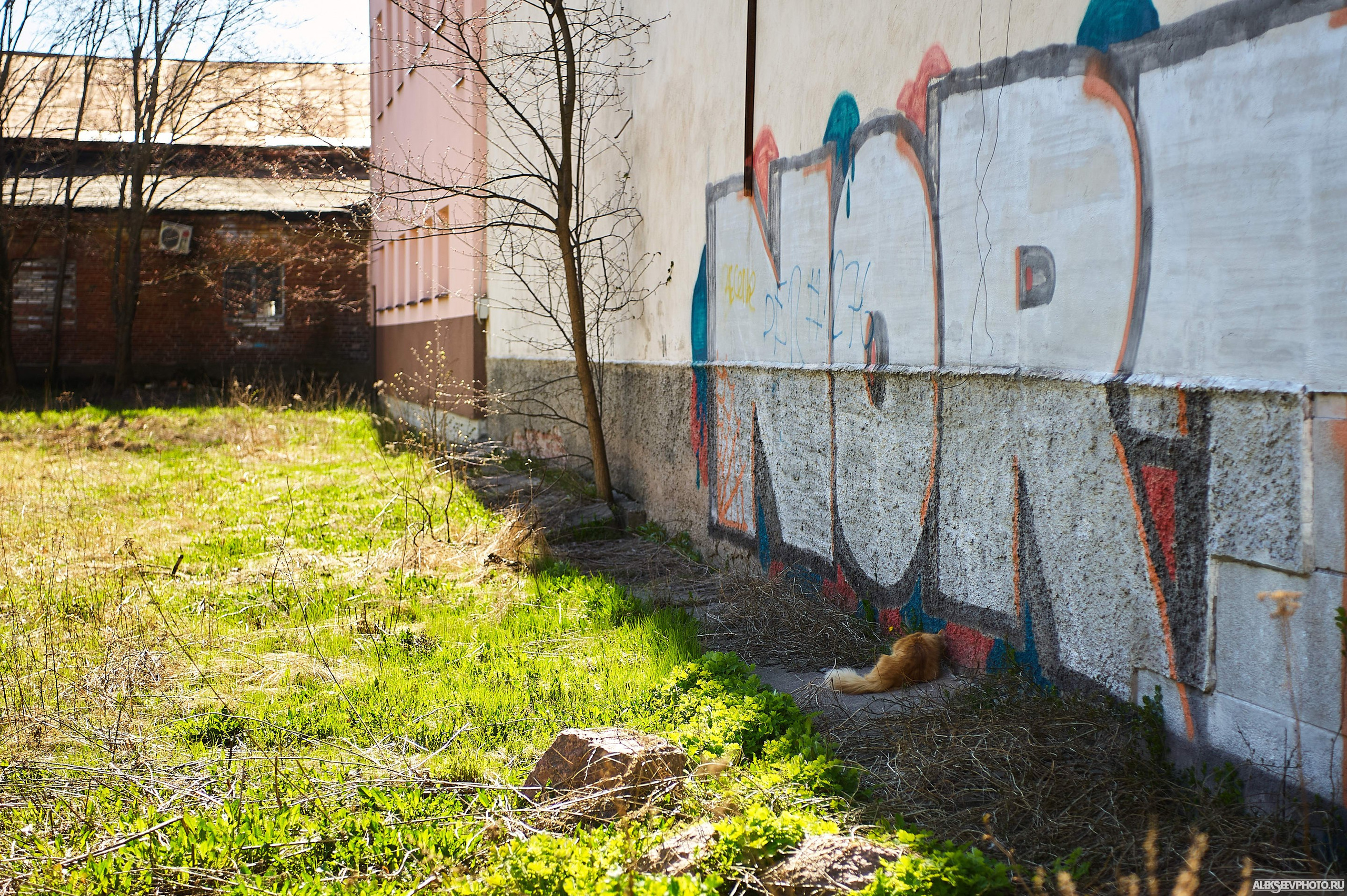 2021.05. Фотограф Алексей Алексеев