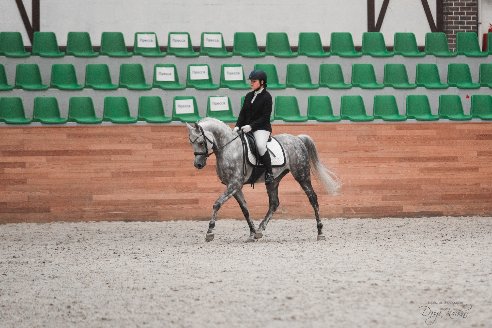 8-я международная выставка Конная Россия. Конный фотограф Куракина Дарья • Фотосессии с лошадьми