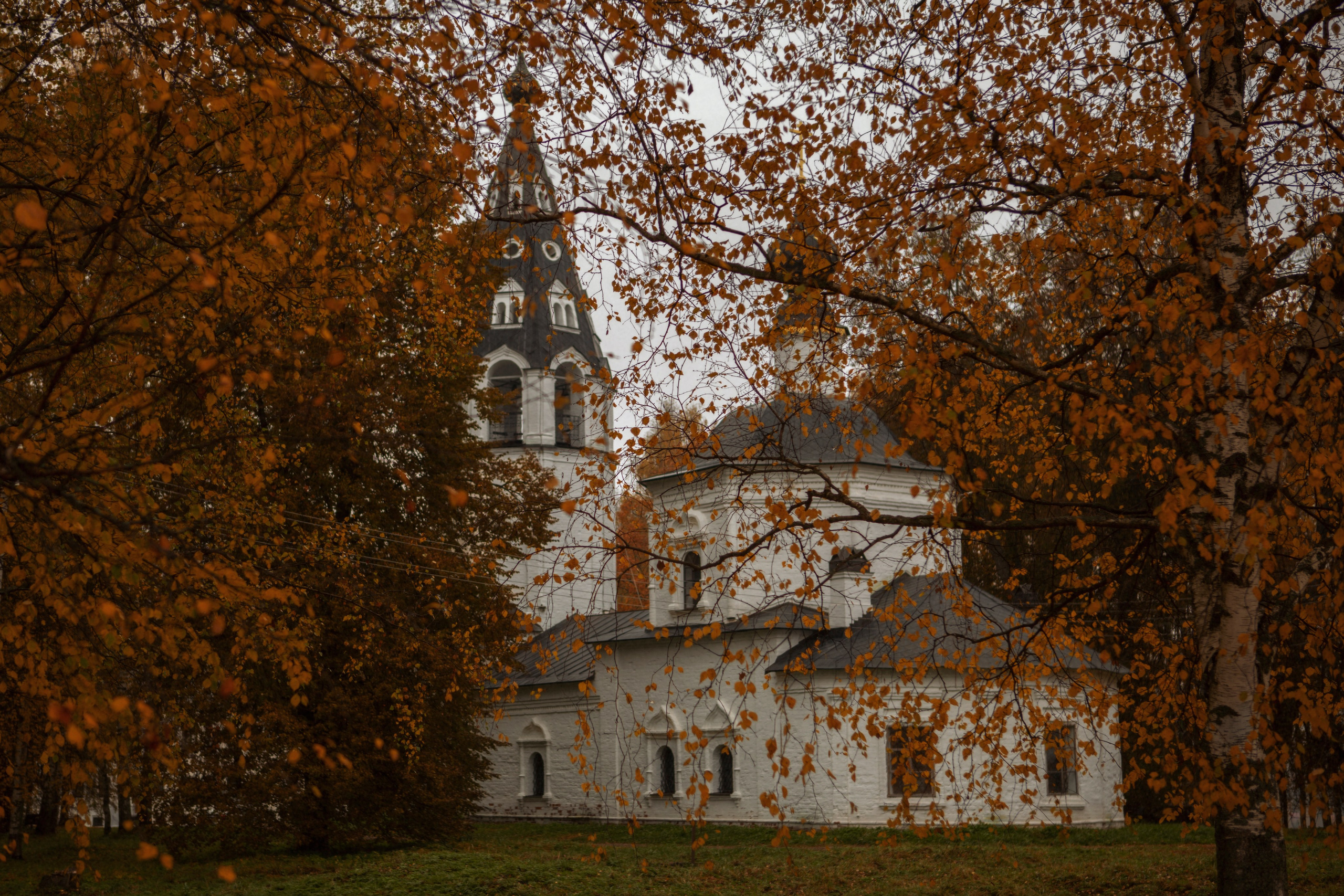 Семейная фотосессия в Плесе. Олеся Ефанова фотограф Иваново, Тейково и Плёс