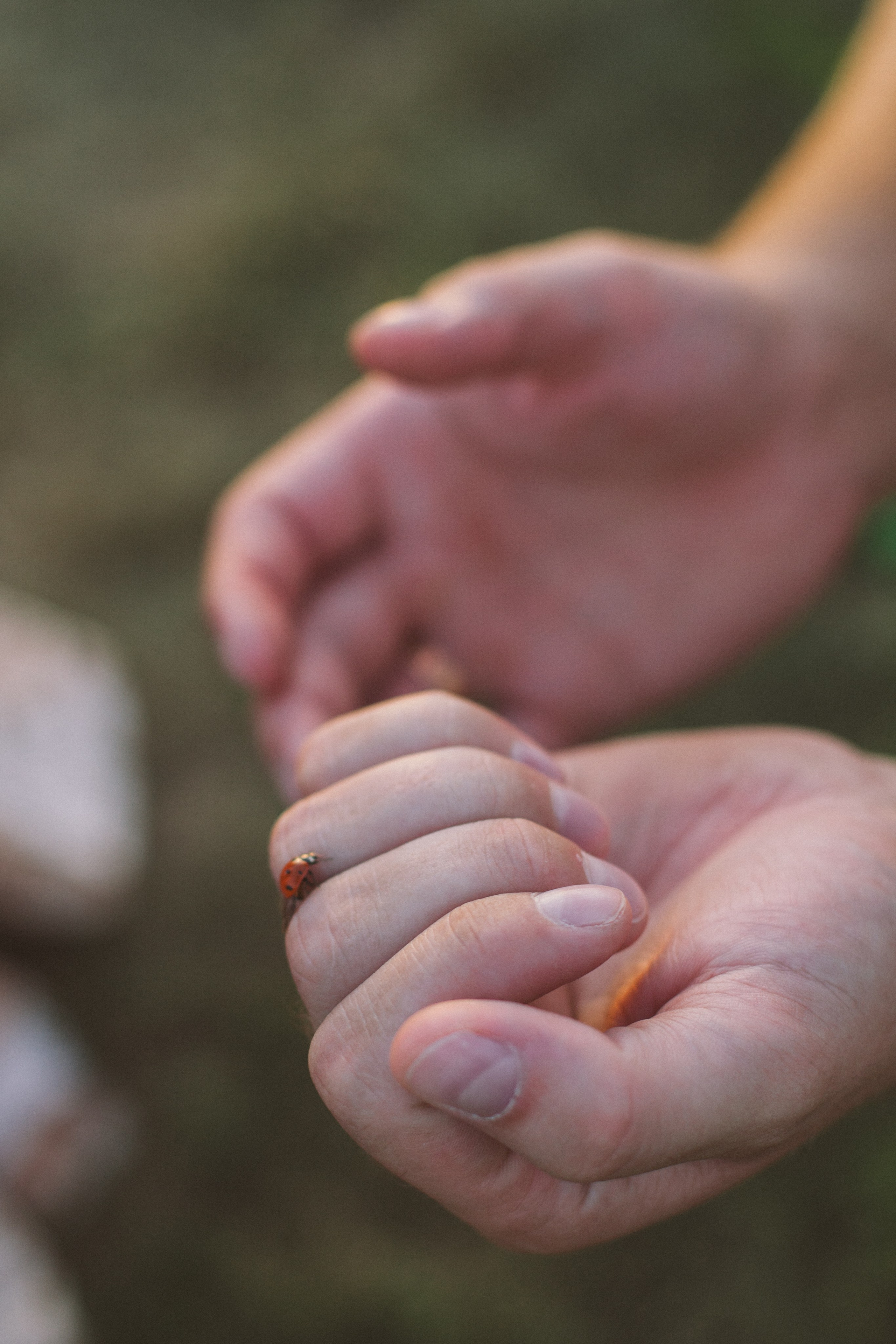 Семейные съемки