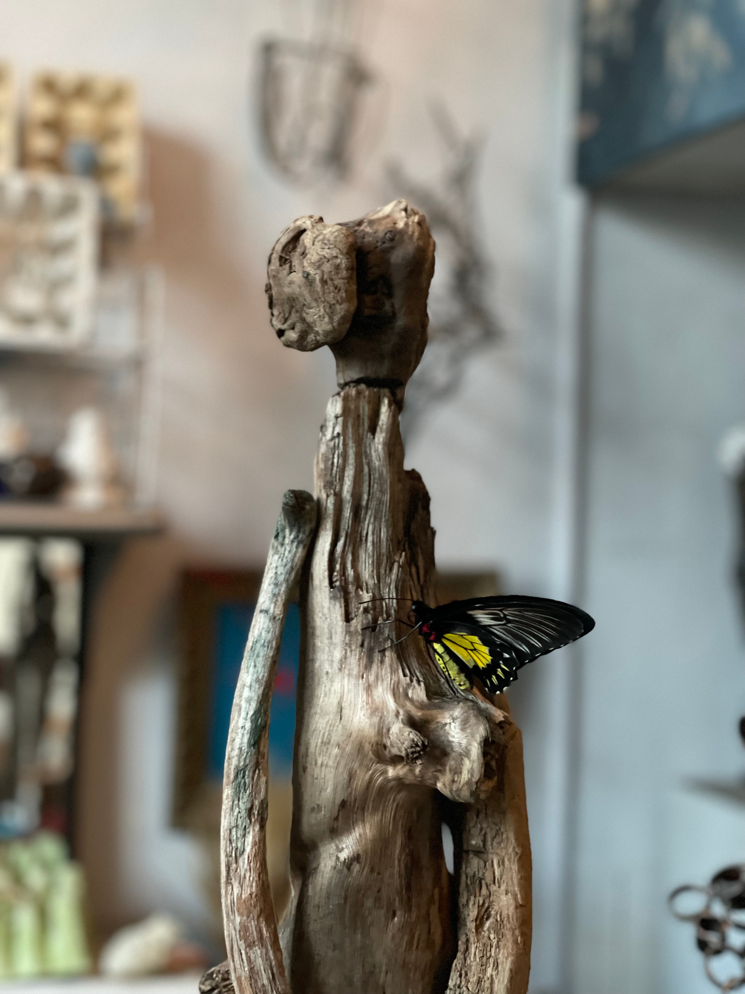 Chrysalis _2024. Художник — скульптор Антонина Фатхуллина