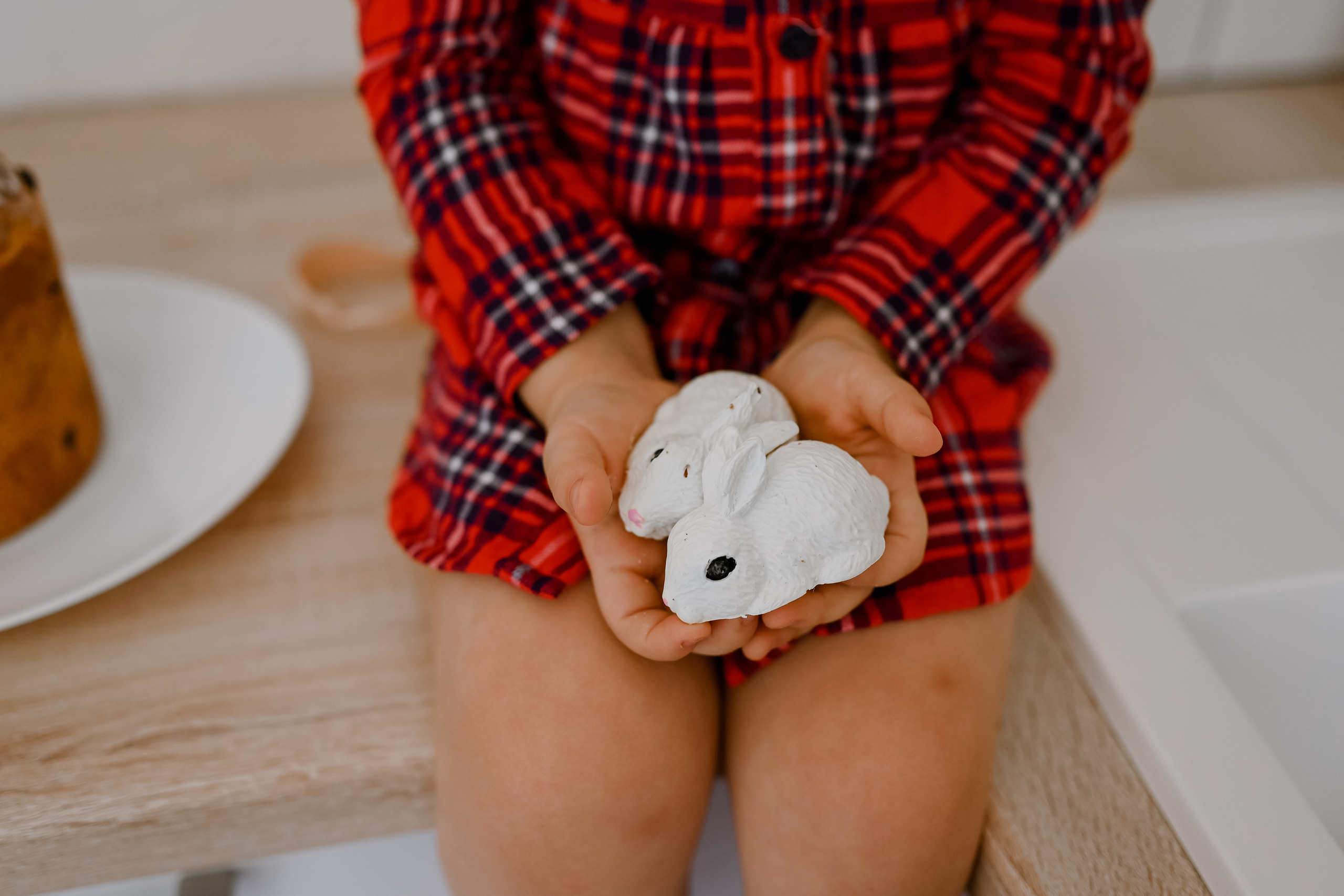 Домашняя. Свадебный, семейный и школьный фотограф в Бийске Ксения Мамаева