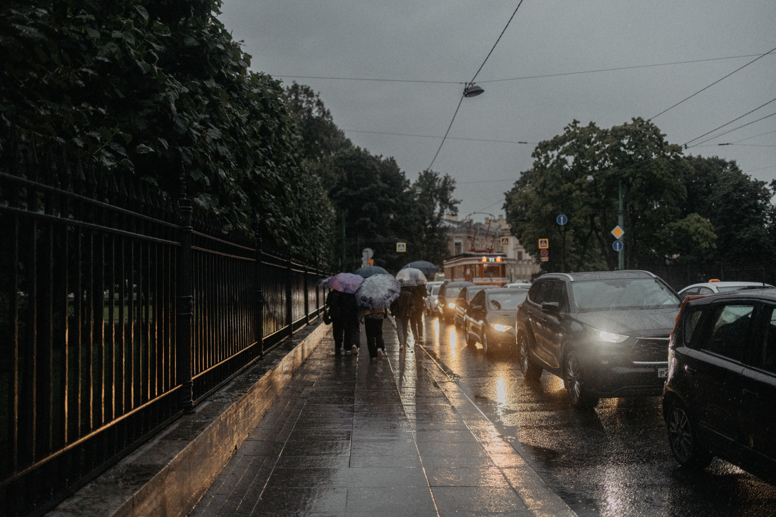 Город дождей. Семейный фотограф в Белгороде