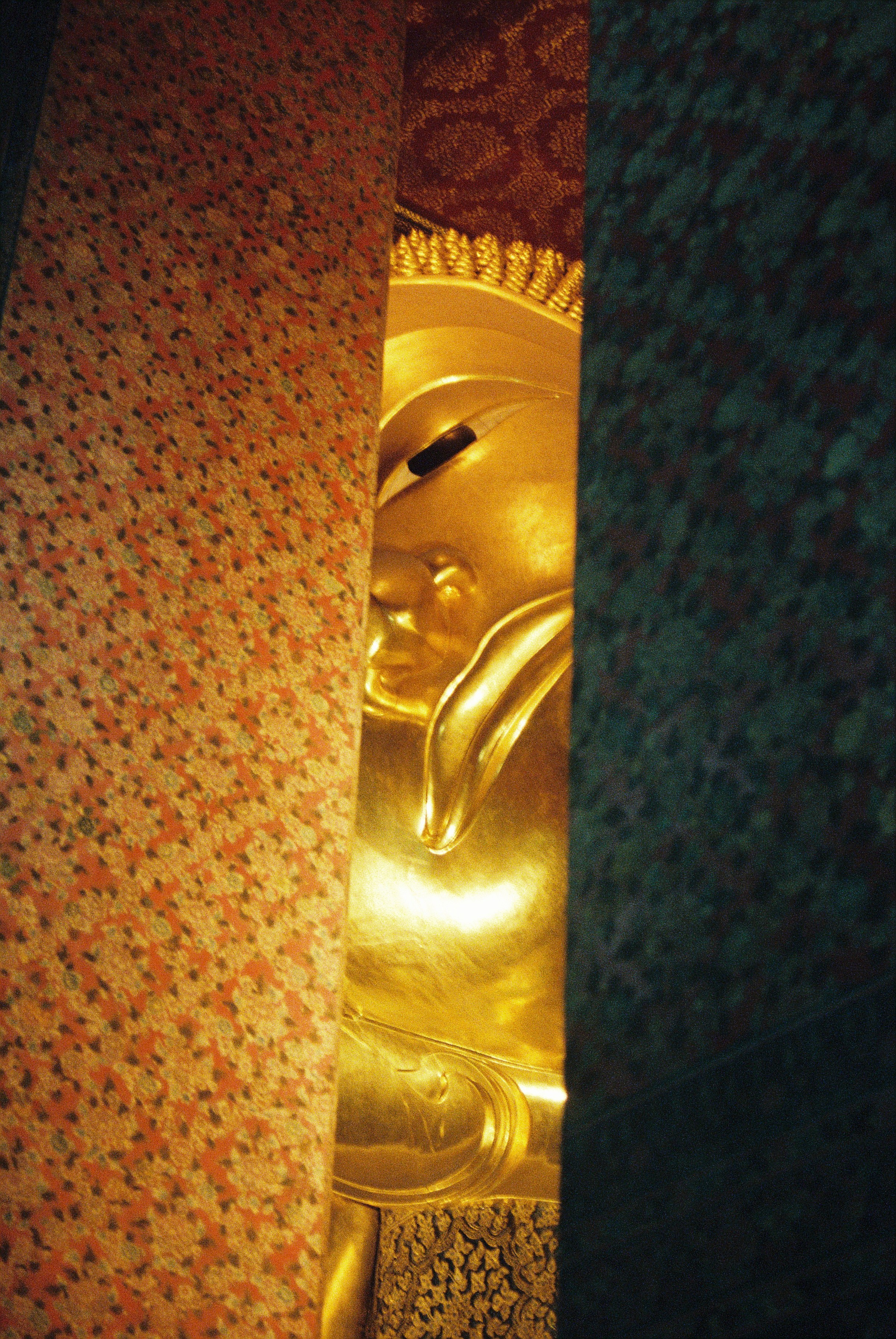 Film chronicle. Kosky ilya