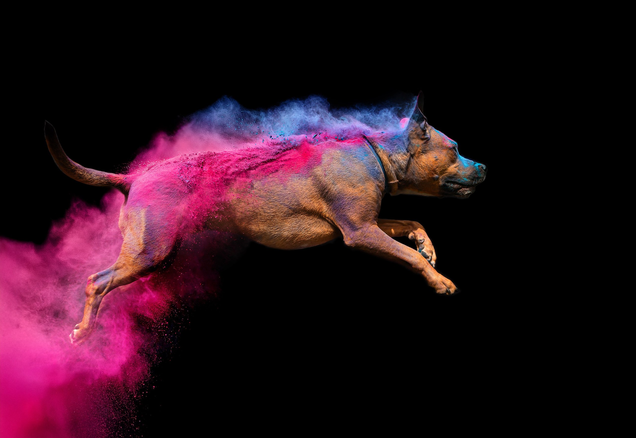 Батлер и Кэти