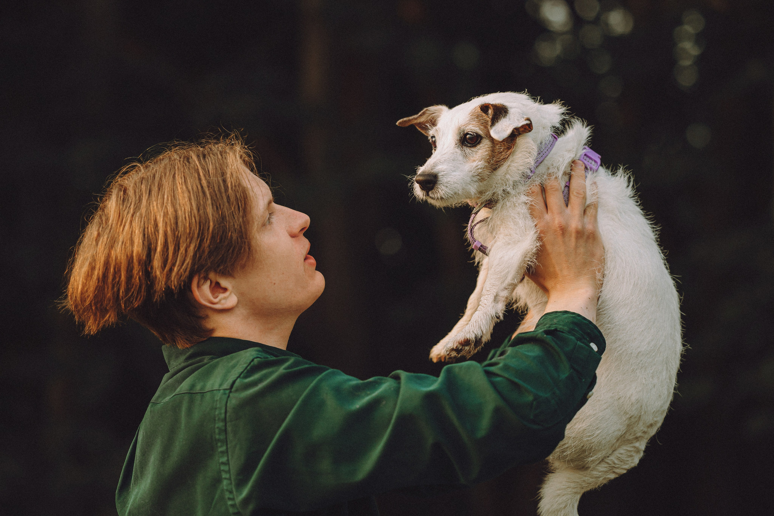 Фифа, Кнопка, Бублик и их семья