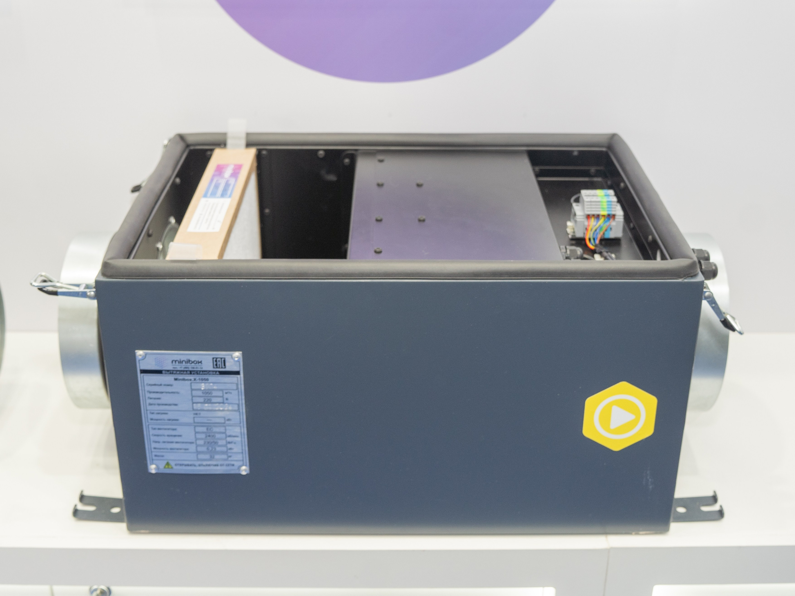 Крокус Вентиляция. Фотограф Зинаида Евдокимова