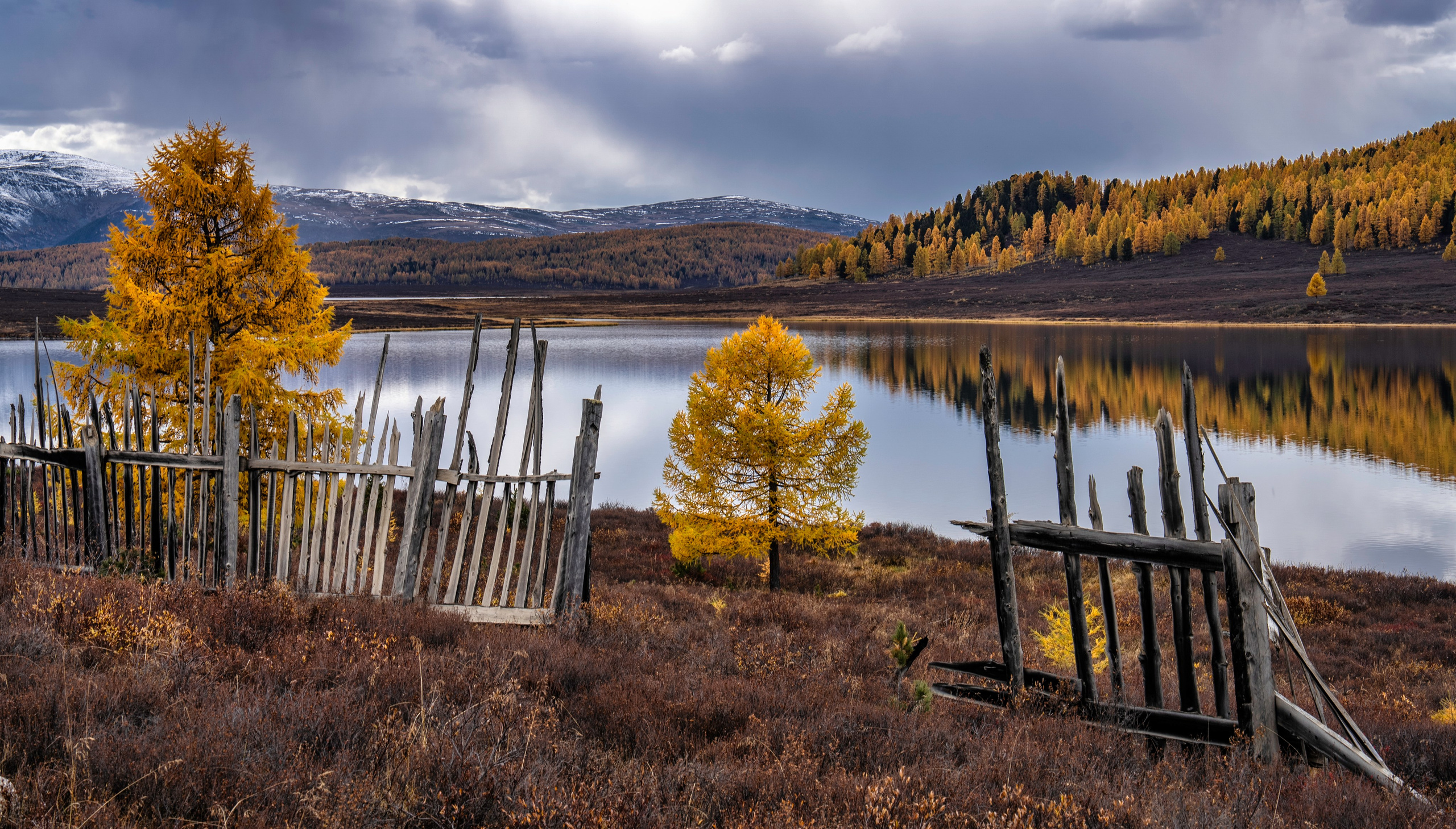 Photographer Vladimir Ostapenko