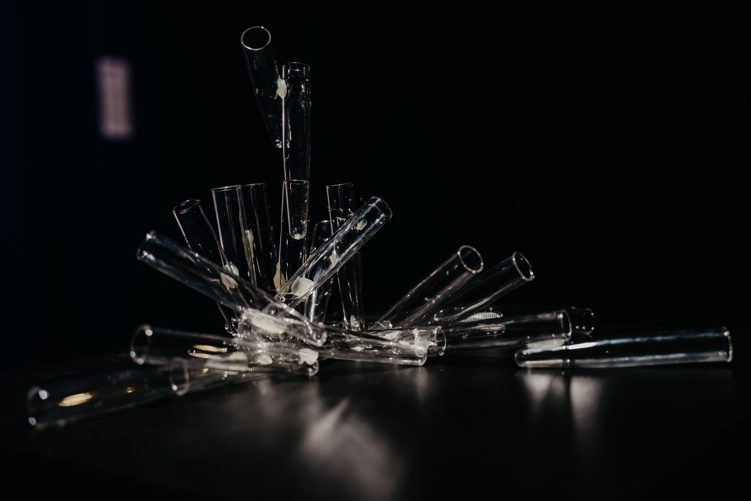 «Трактат о Корчевателе». Современная художница Елена Алексеева (Alpha_Vita)