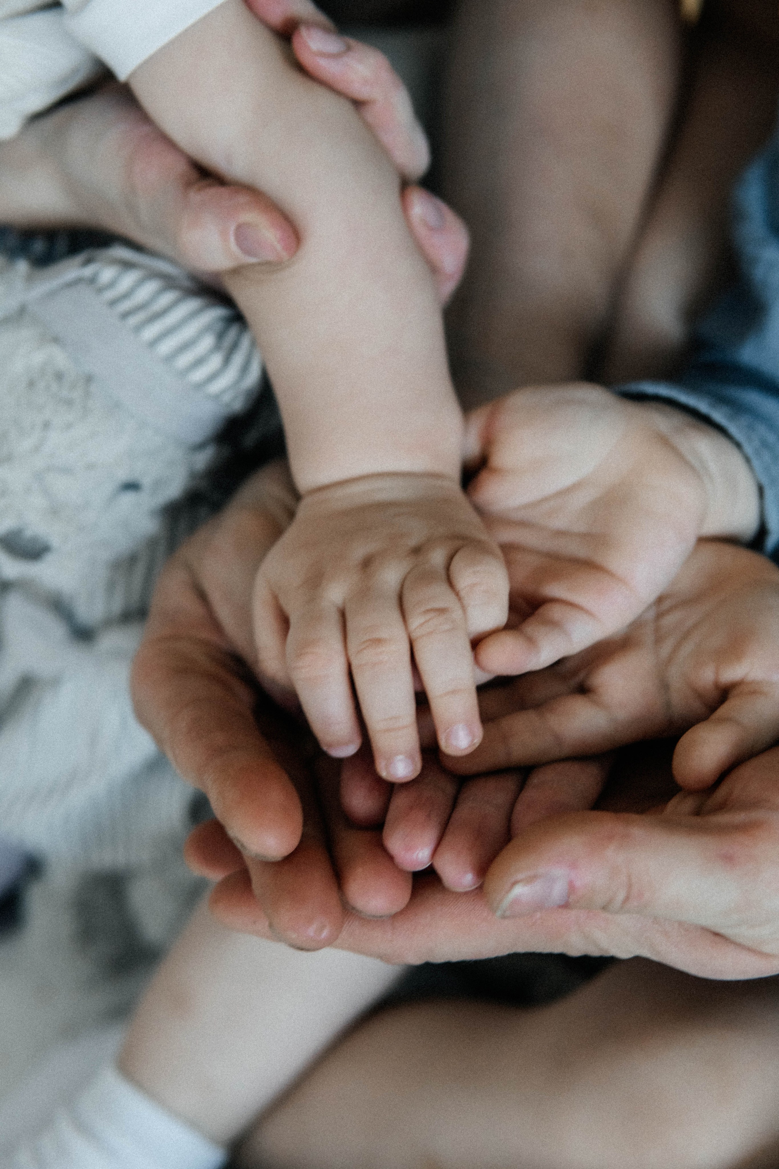 Семья Ласковых. Главная страница