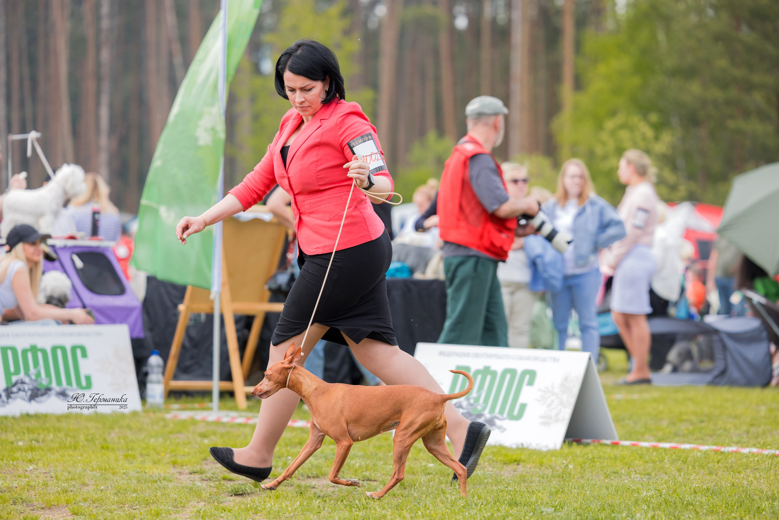 Суздаль(Владимир)17-18.05.2025. Фотограф-анималист Юлия Германика