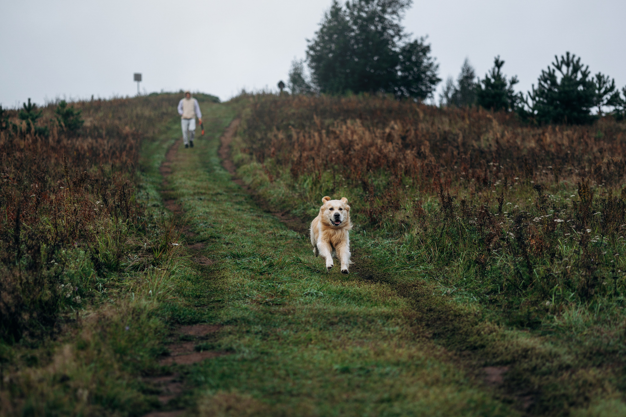 Лёва и его семья. Фотограф — Анималист | Санкт-Петербург
