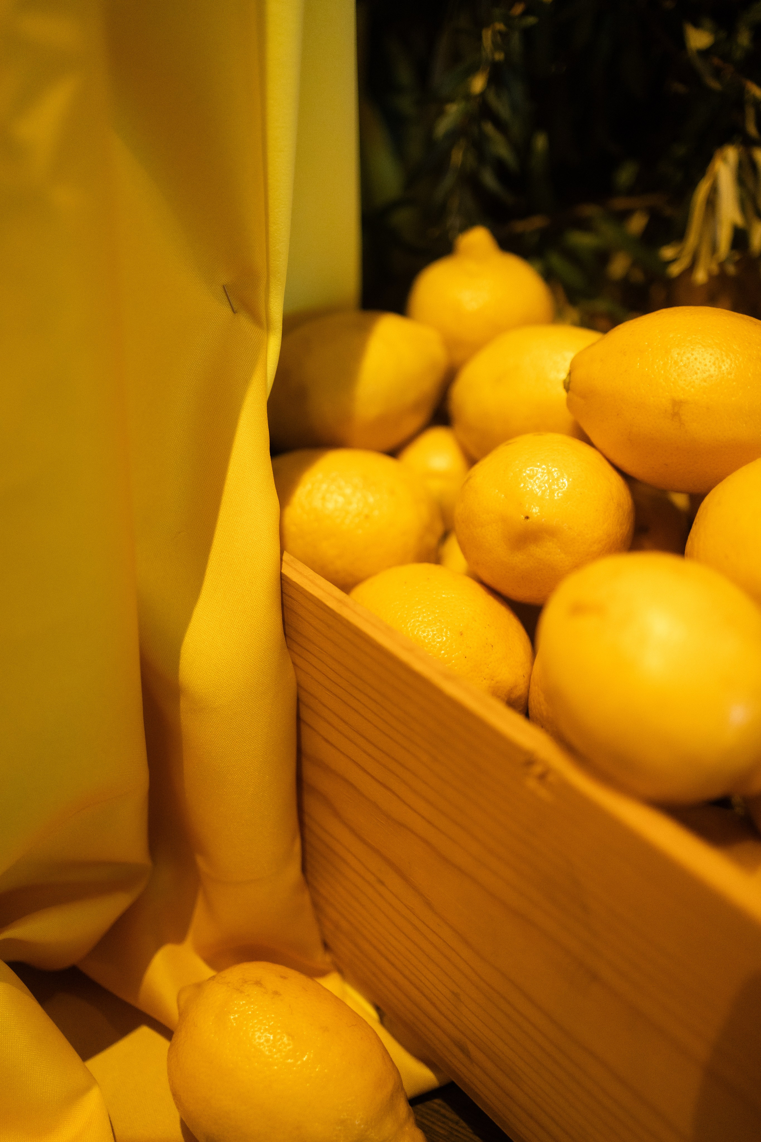 Вечеринка победителей wedding awards nw. Фотограф Артем Бросов в Санкт-Петербурге и Дубае